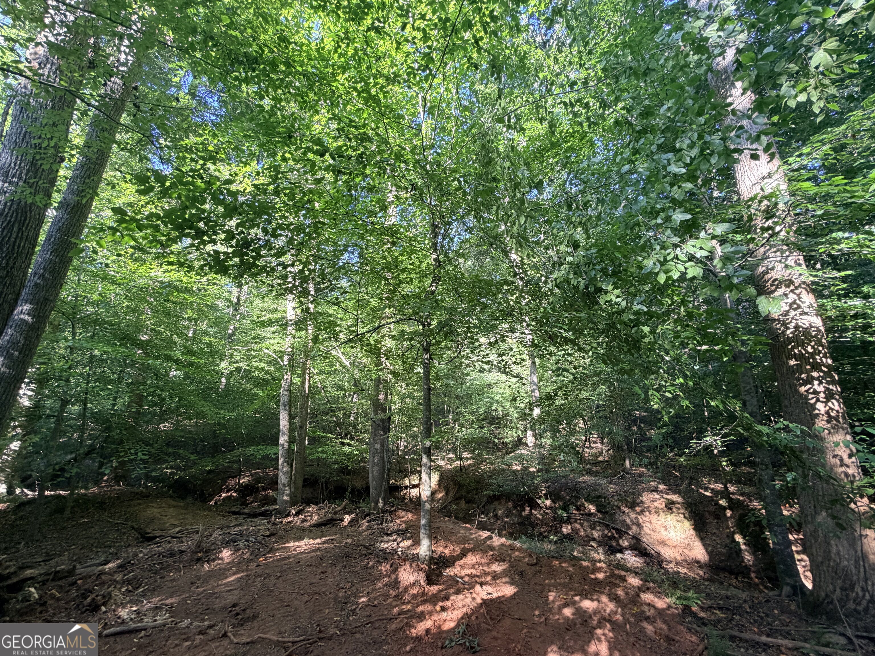 8 Bunch Road Tignall GA 30668