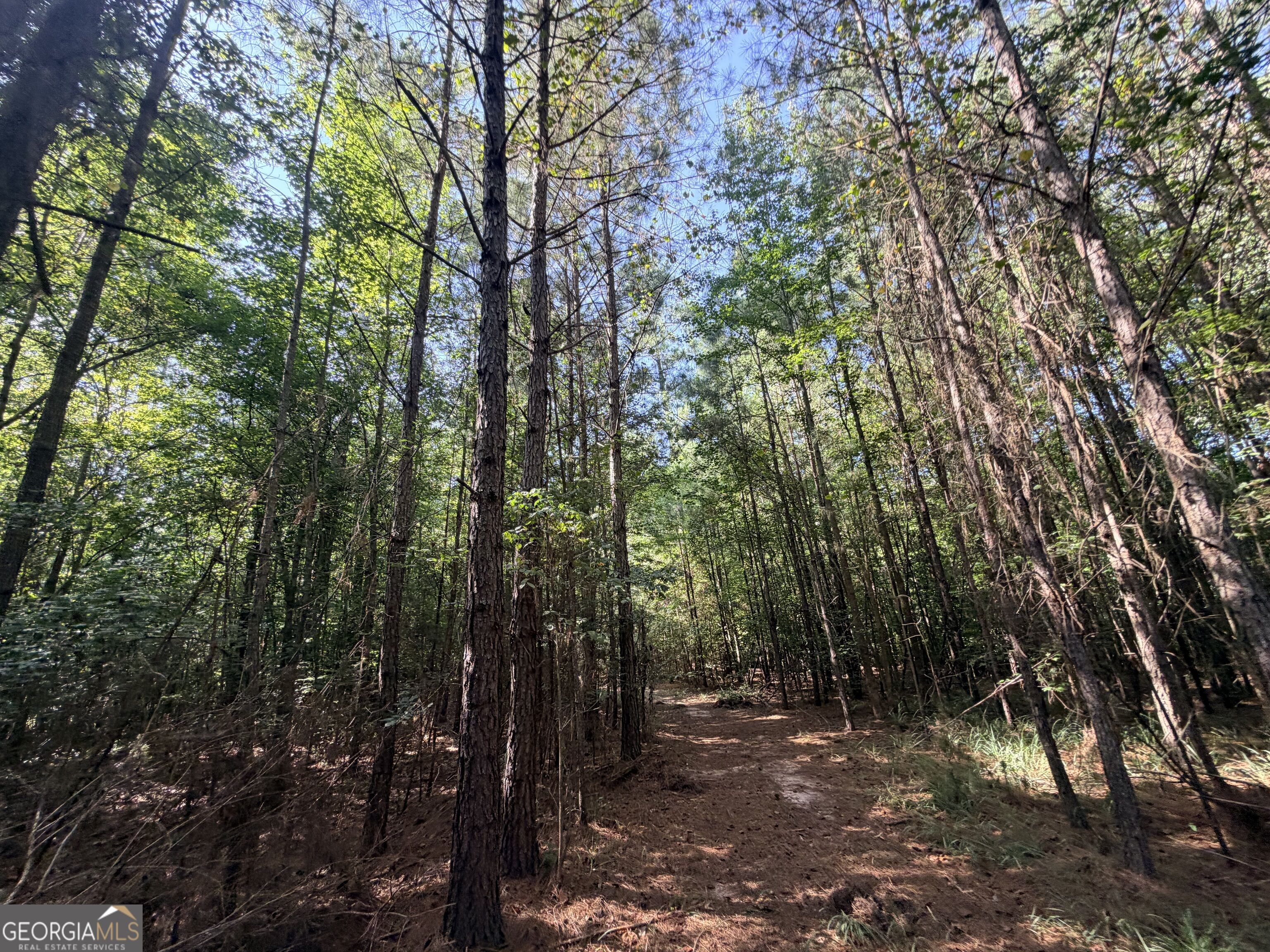 8 Bunch Road Tignall GA 30668