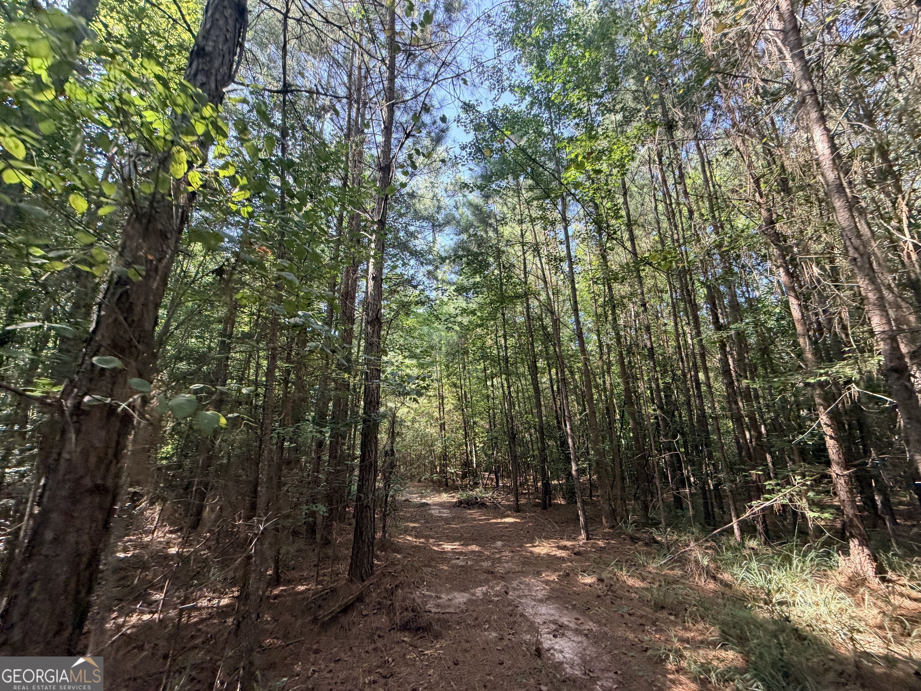 8 Bunch Road Tignall GA 30668
