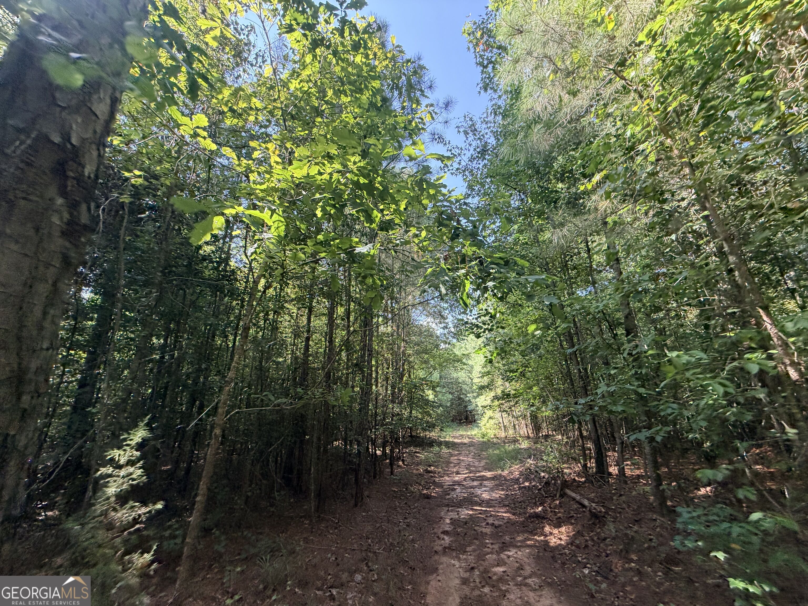 8 Bunch Road Tignall GA 30668