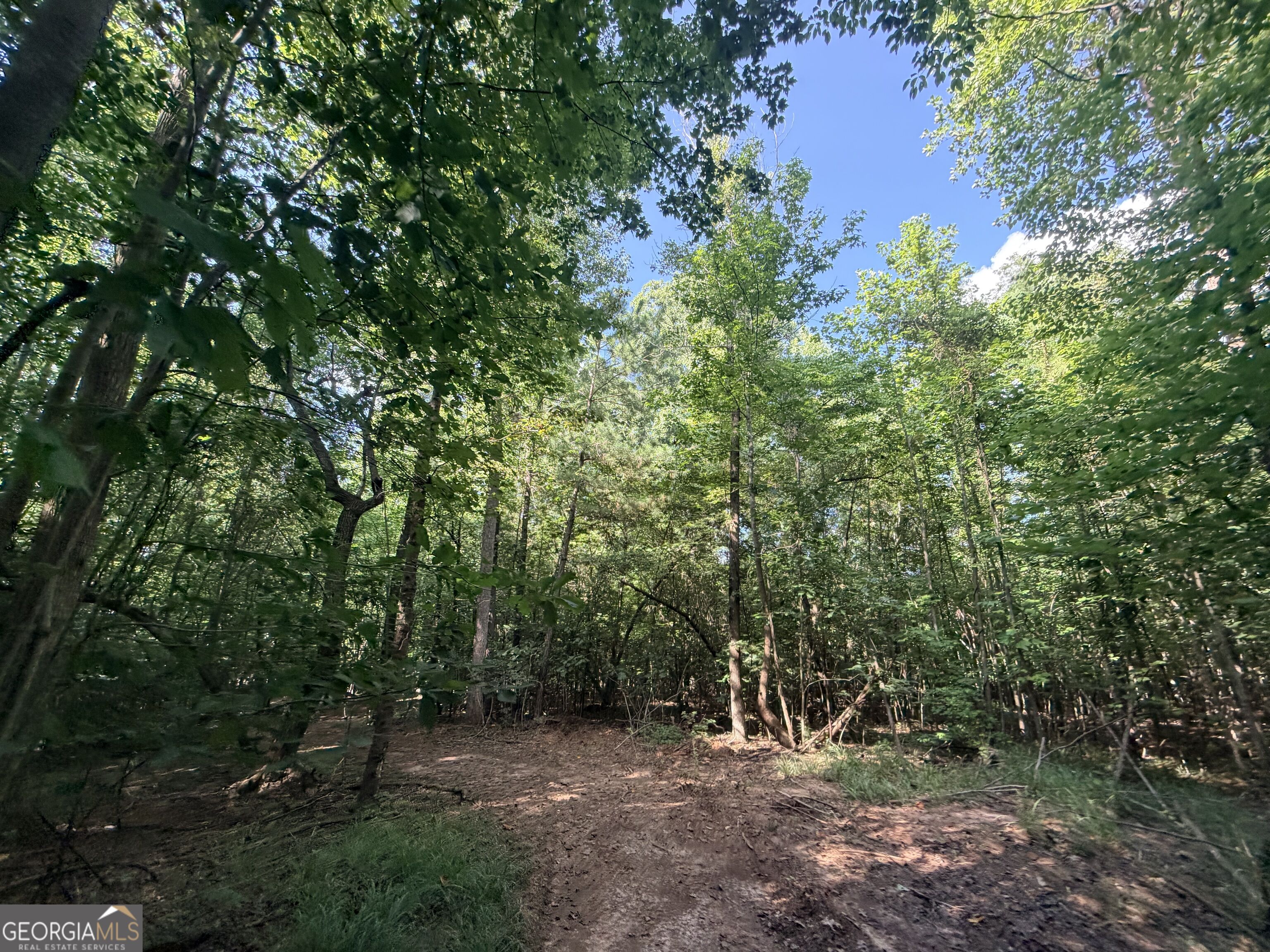 8 Bunch Road Tignall GA 30668