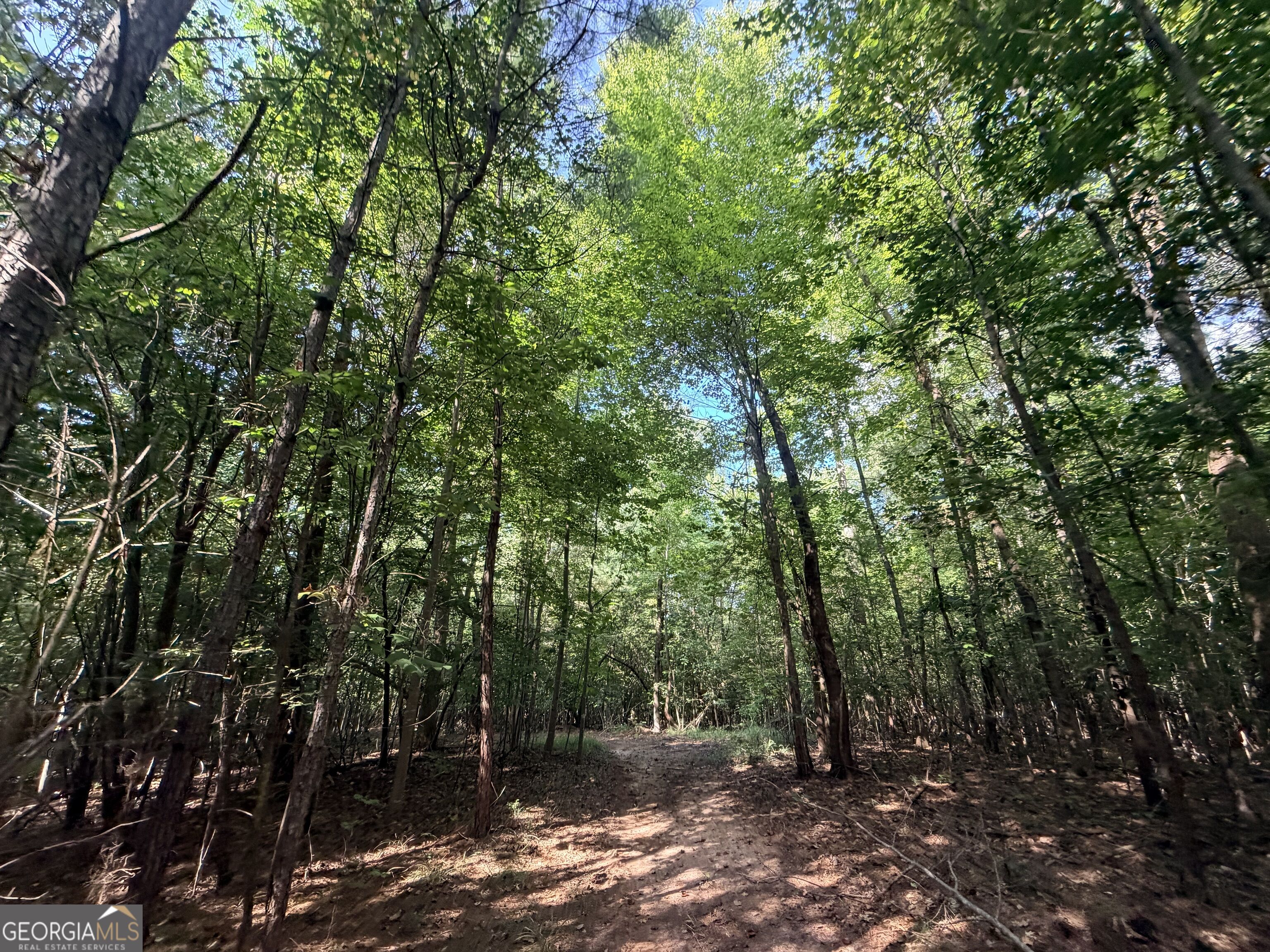 8 Bunch Road Tignall GA 30668