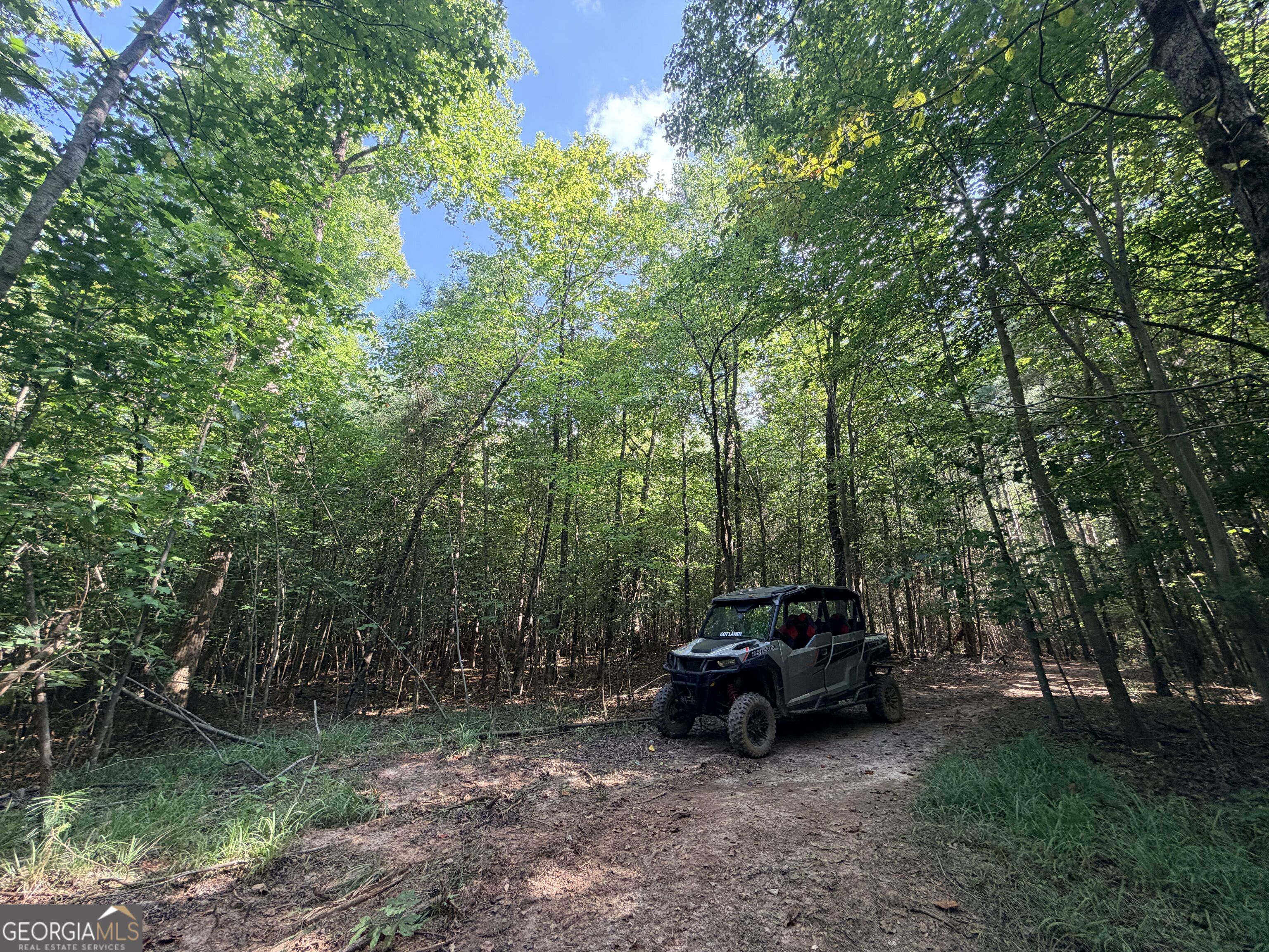 8 Bunch Road Tignall GA 30668
