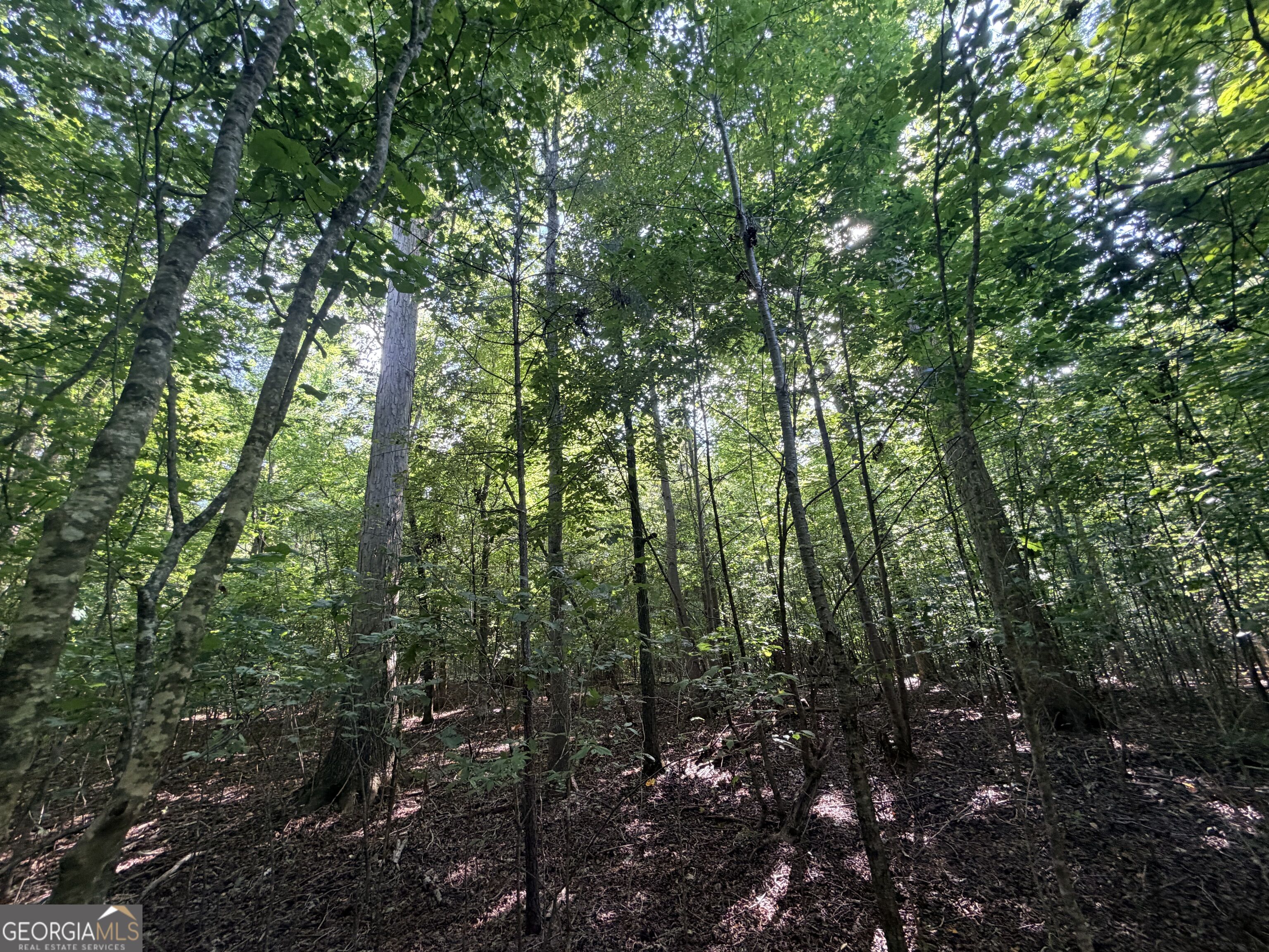 8 Bunch Road Tignall GA 30668