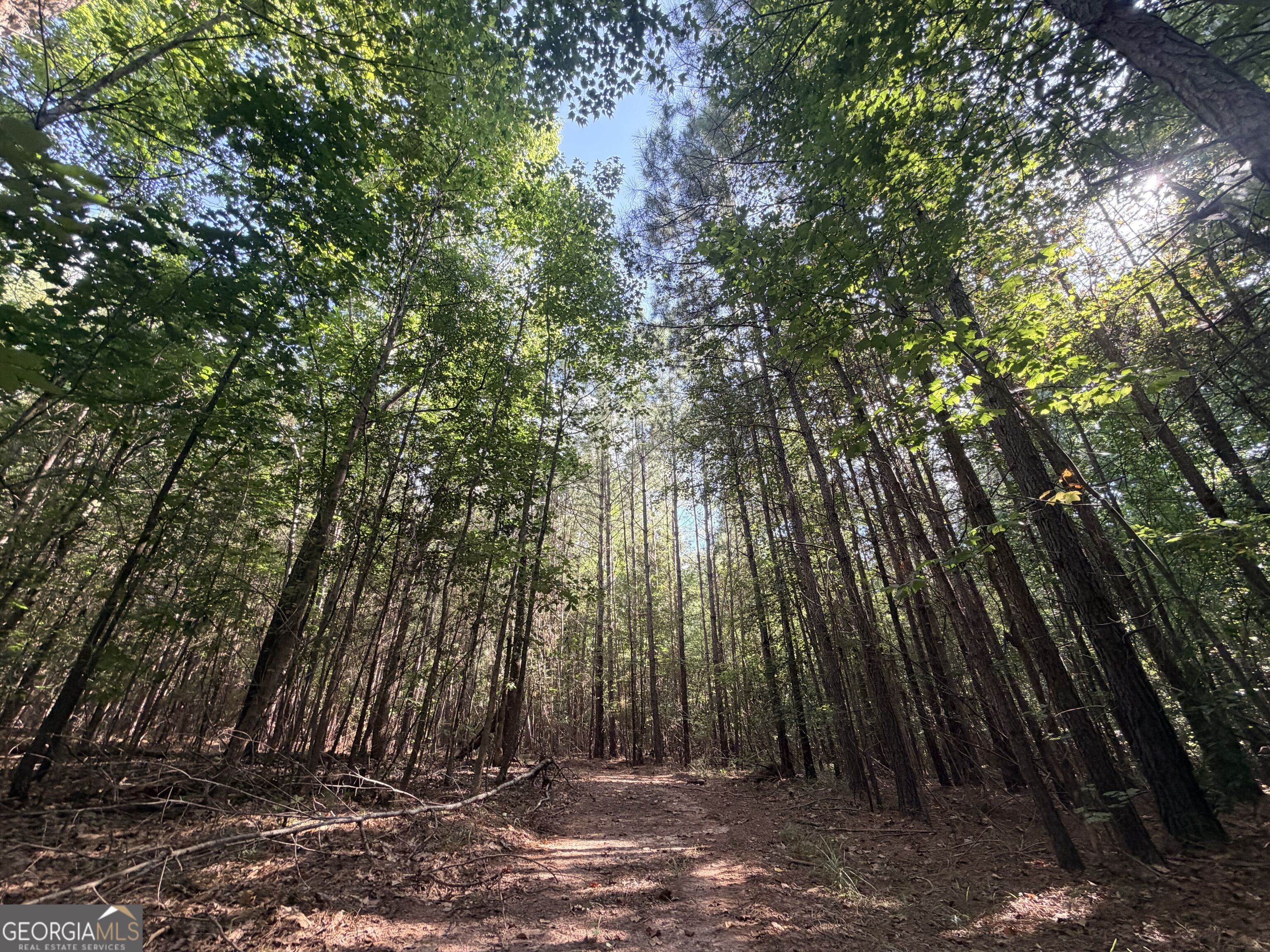 8 Bunch Road Tignall GA 30668