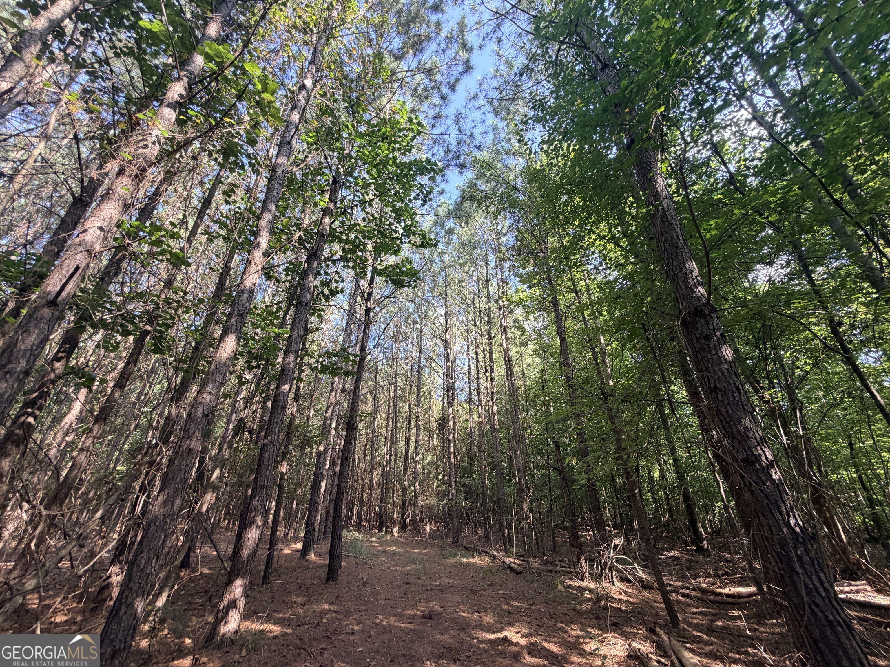8 Bunch Road Tignall GA 30668