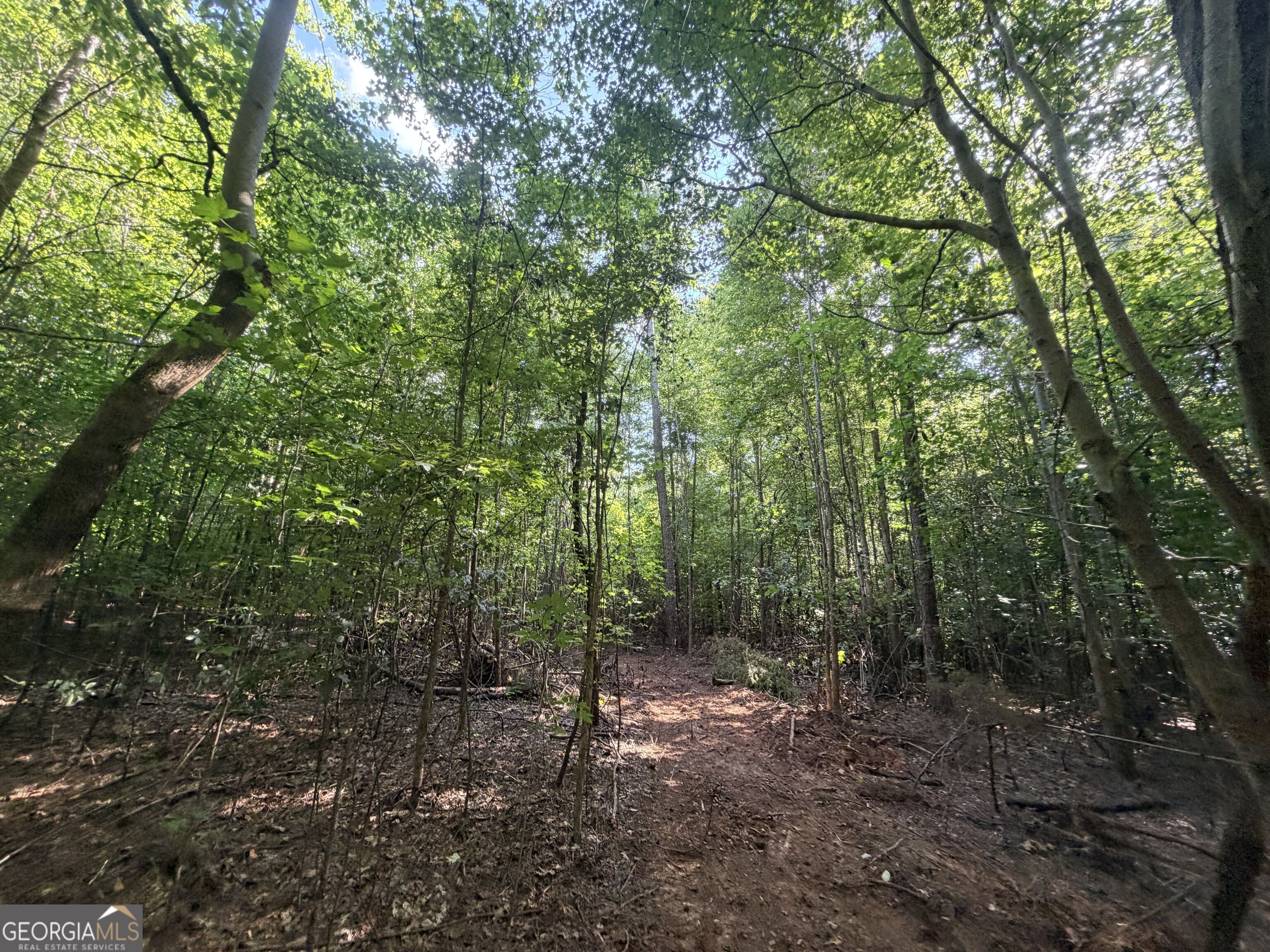 8 Bunch Road Tignall GA 30668