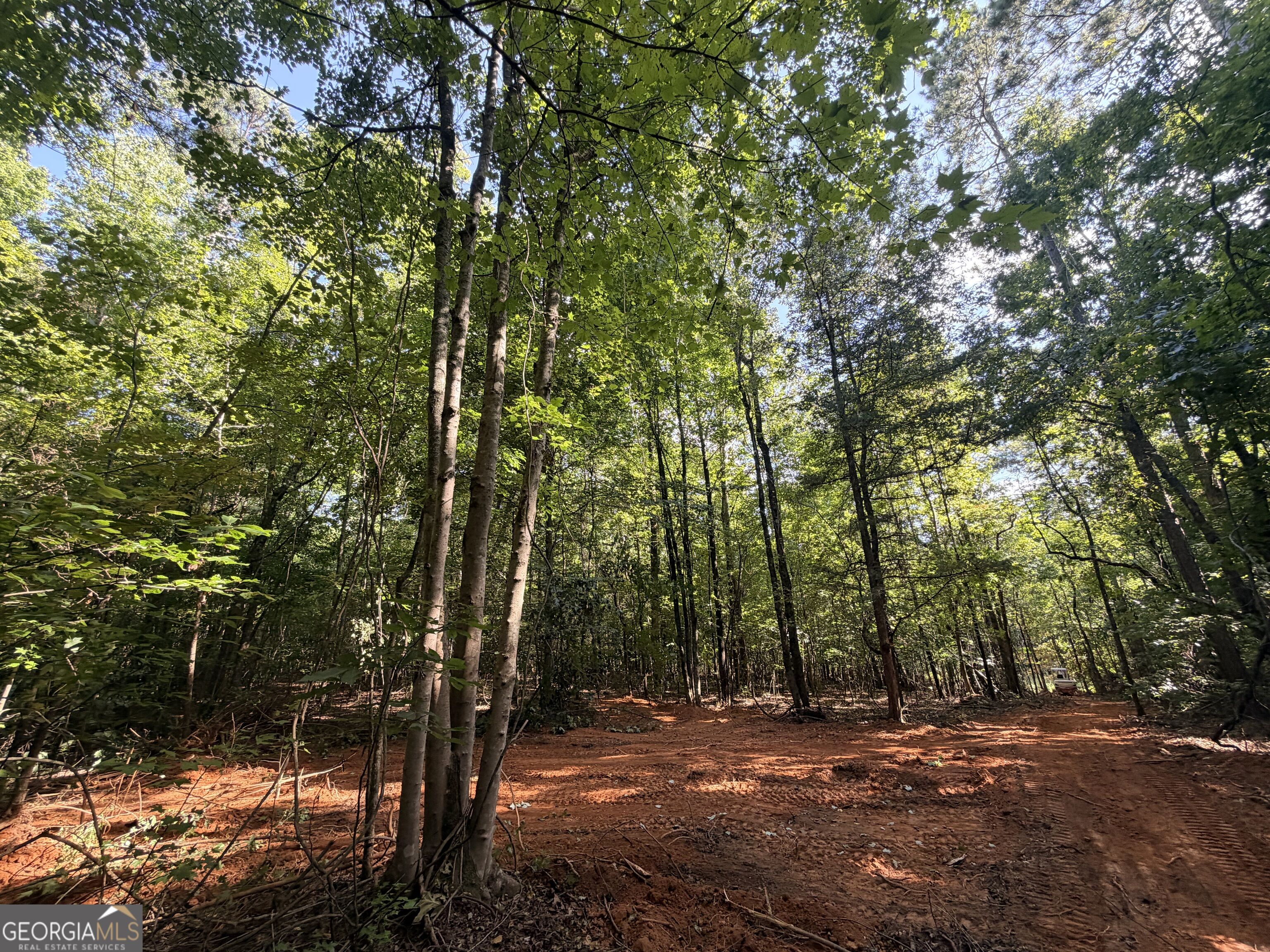 8 Bunch Road Tignall GA 30668