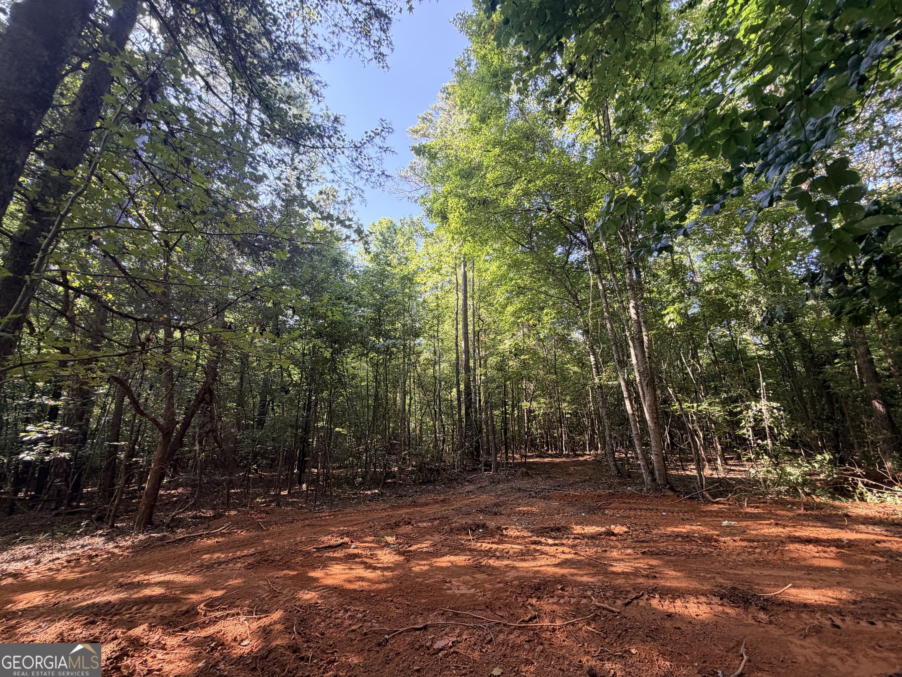 8 Bunch Road Tignall GA 30668