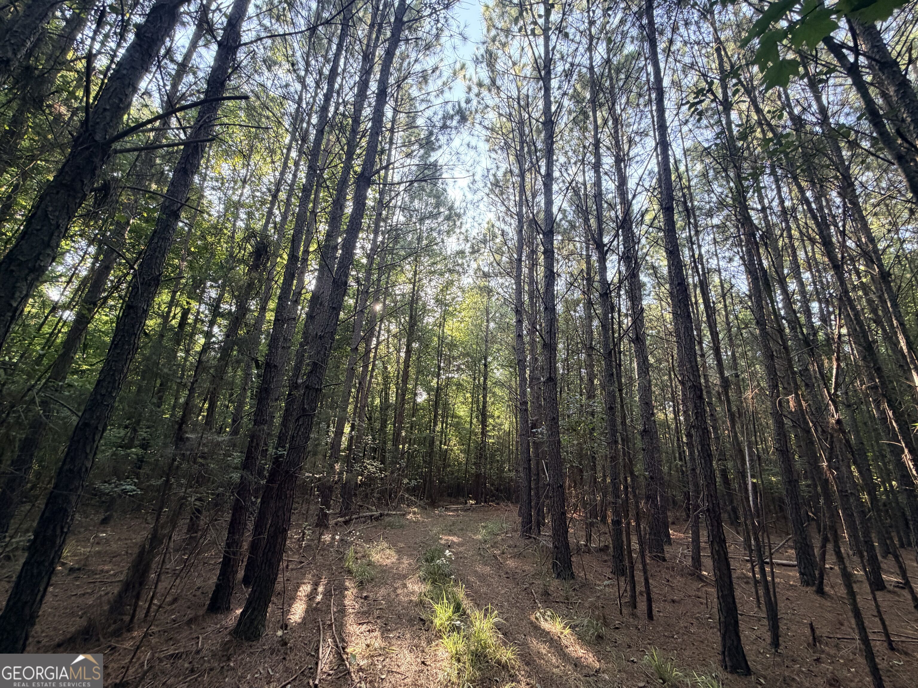 8 Bunch Road Tignall GA 30668
