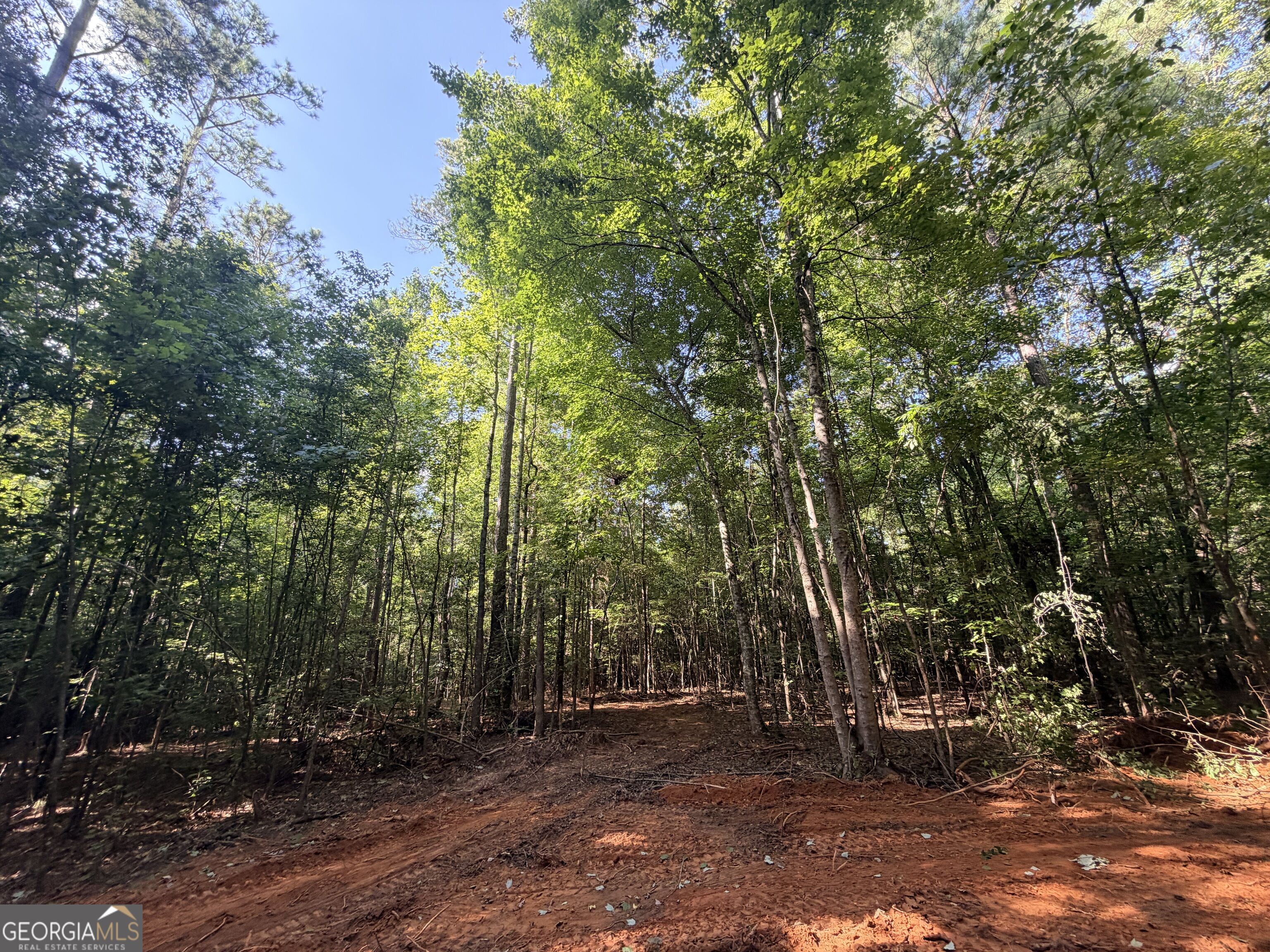 8 Bunch Road Tignall GA 30668