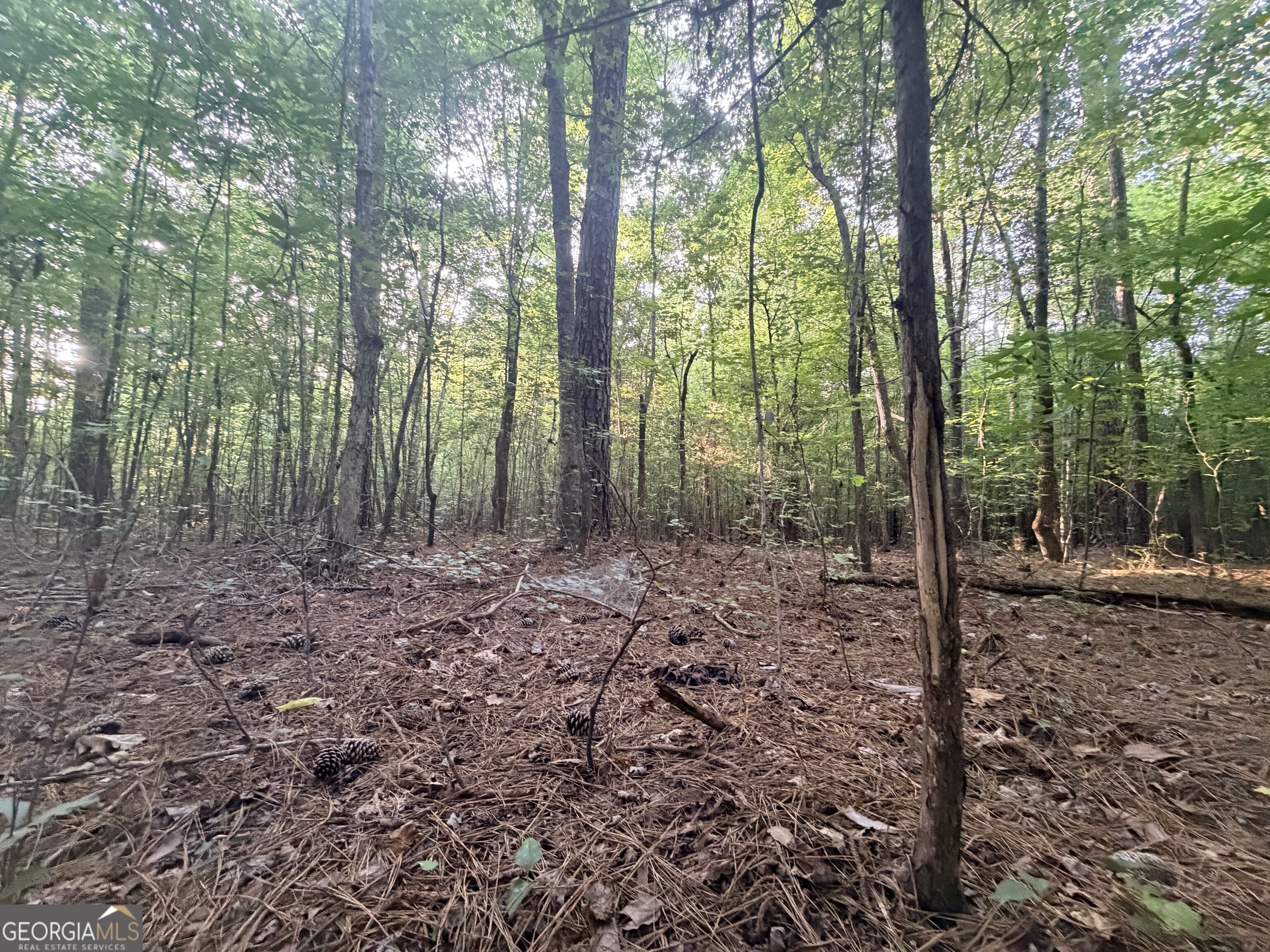 8 Bunch Road Tignall GA 30668