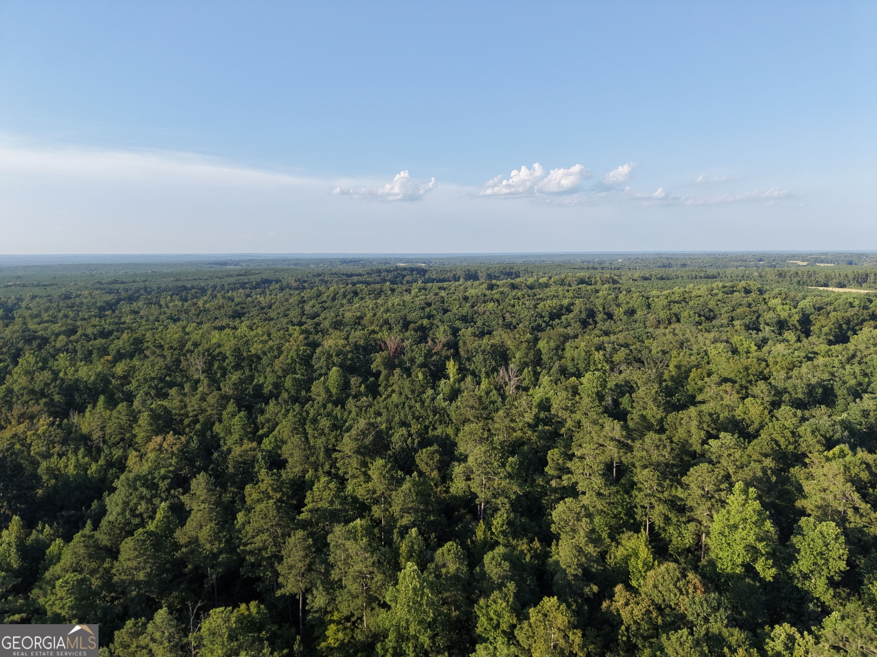 8 Bunch Road Tignall GA 30668