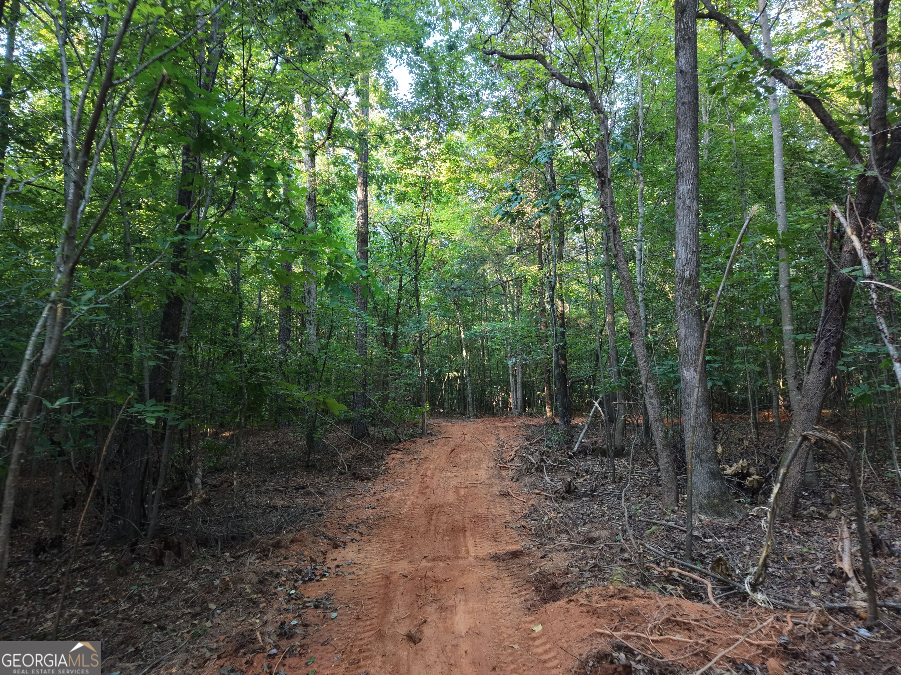 8 Bunch Road Tignall GA 30668