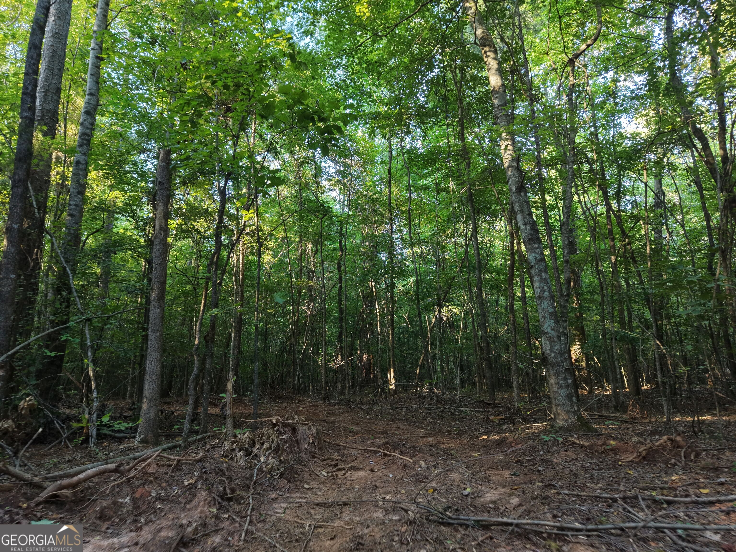 8 Bunch Road Tignall GA 30668