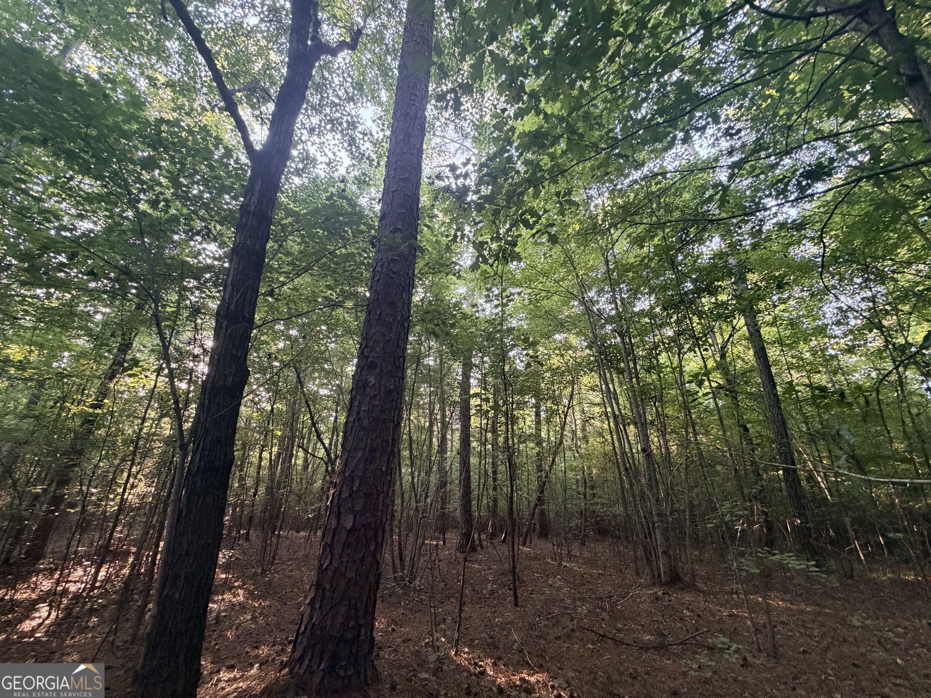 8 Bunch Road Tignall GA 30668