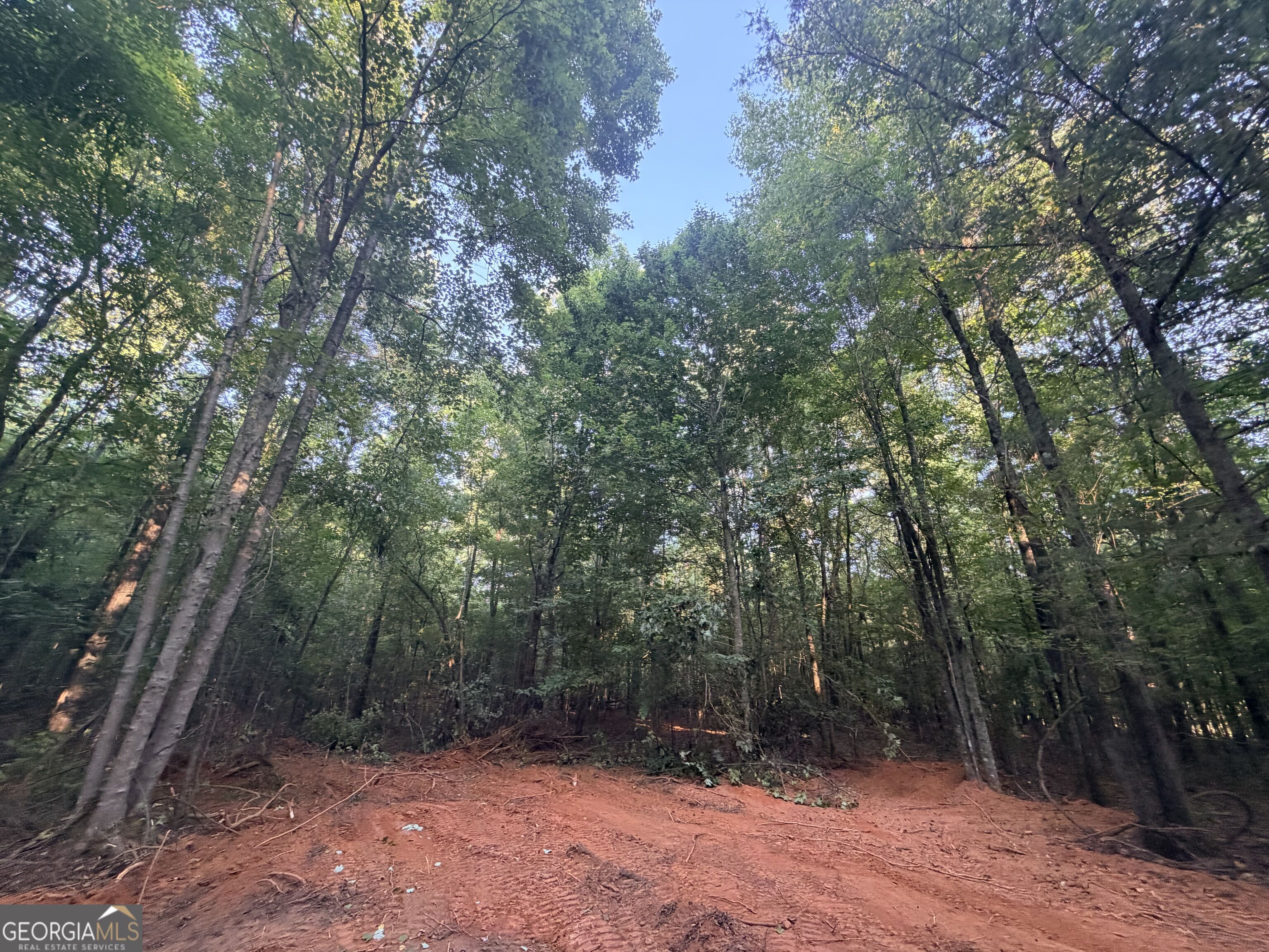 8 Bunch Road Tignall GA 30668