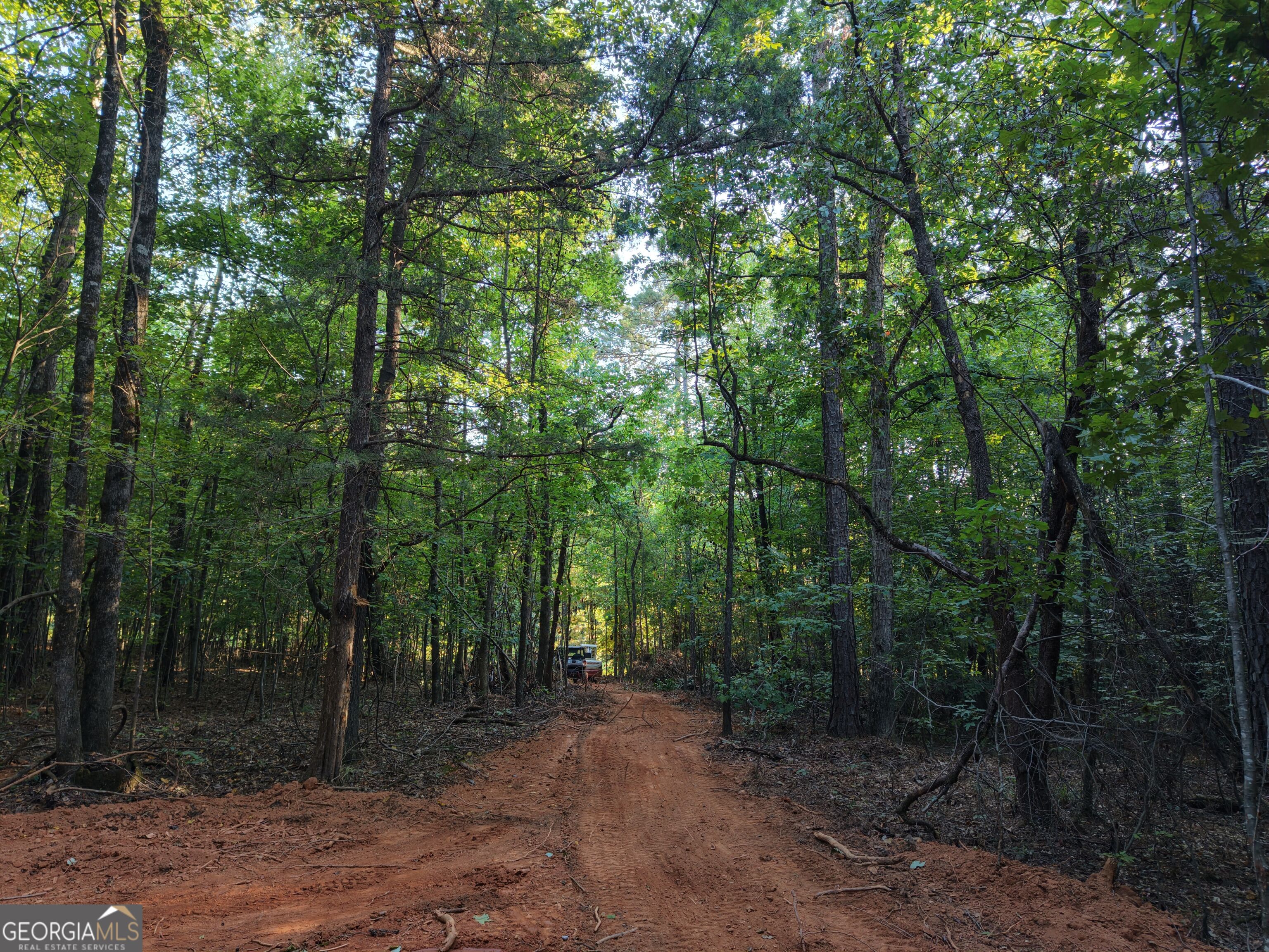 8 Bunch Road Tignall GA 30668