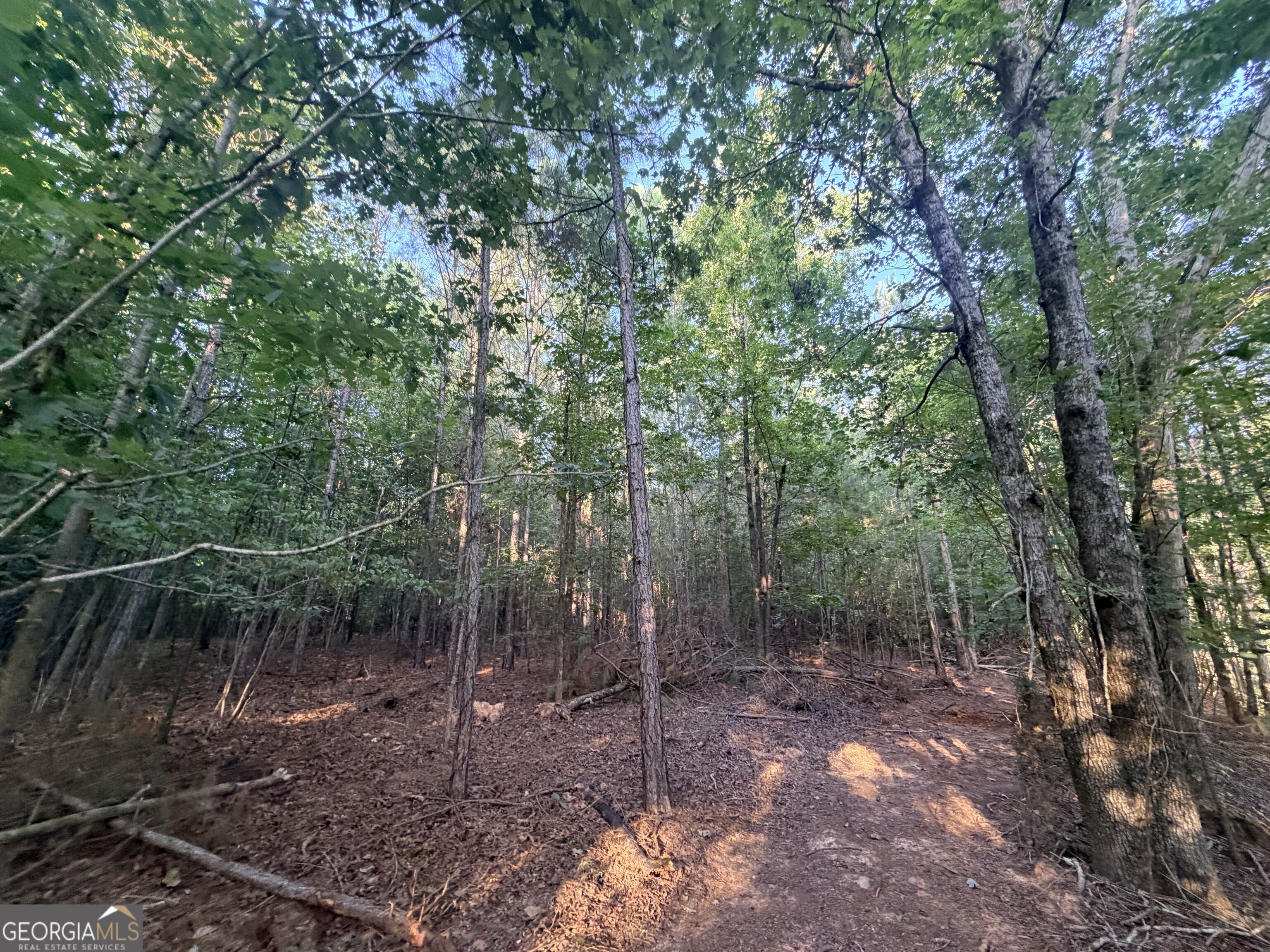 8 Bunch Road Tignall GA 30668