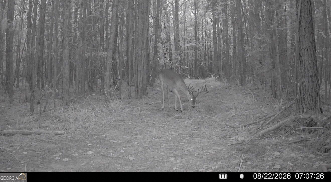 8 Bunch Road Tignall GA 30668