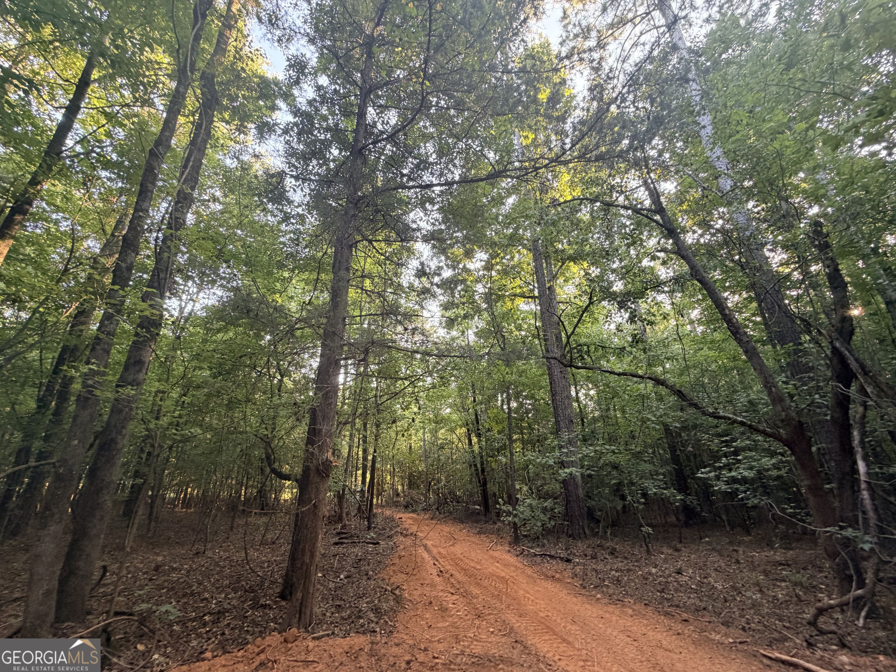 8 Bunch Road Tignall GA 30668