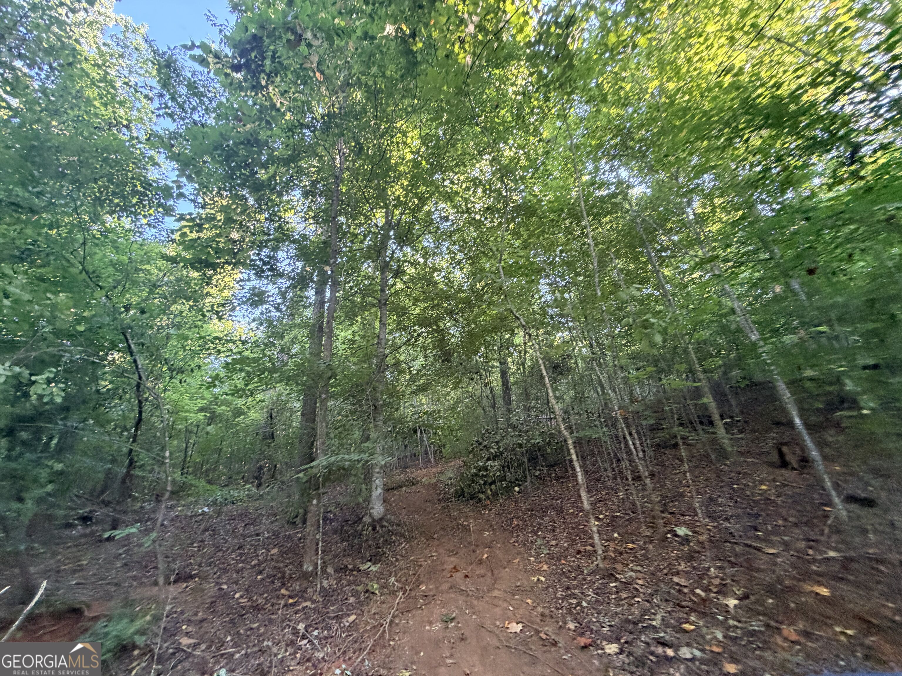 8 Bunch Road Tignall GA 30668