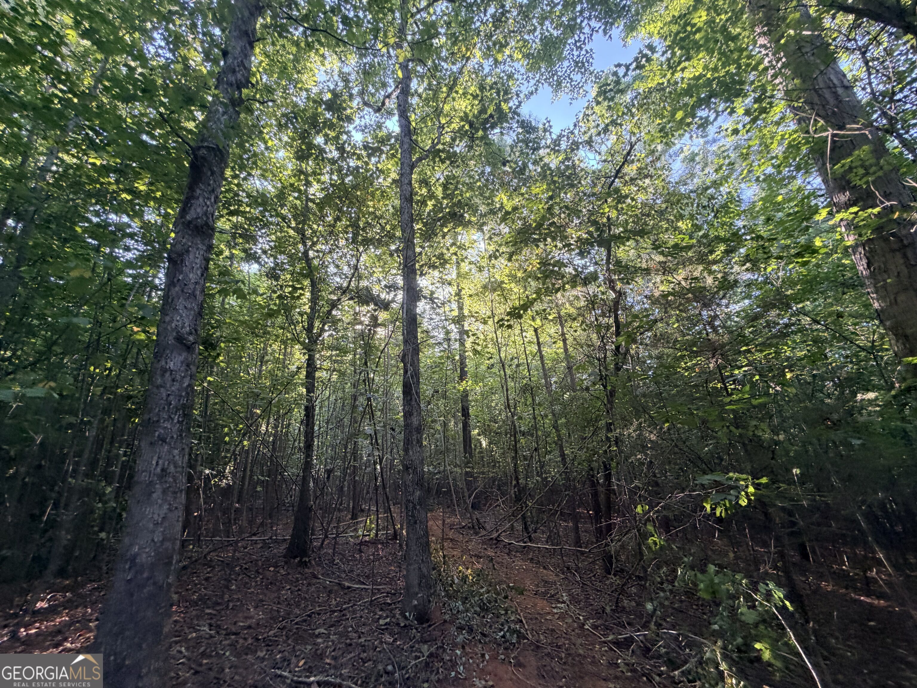 8 Bunch Road Tignall GA 30668