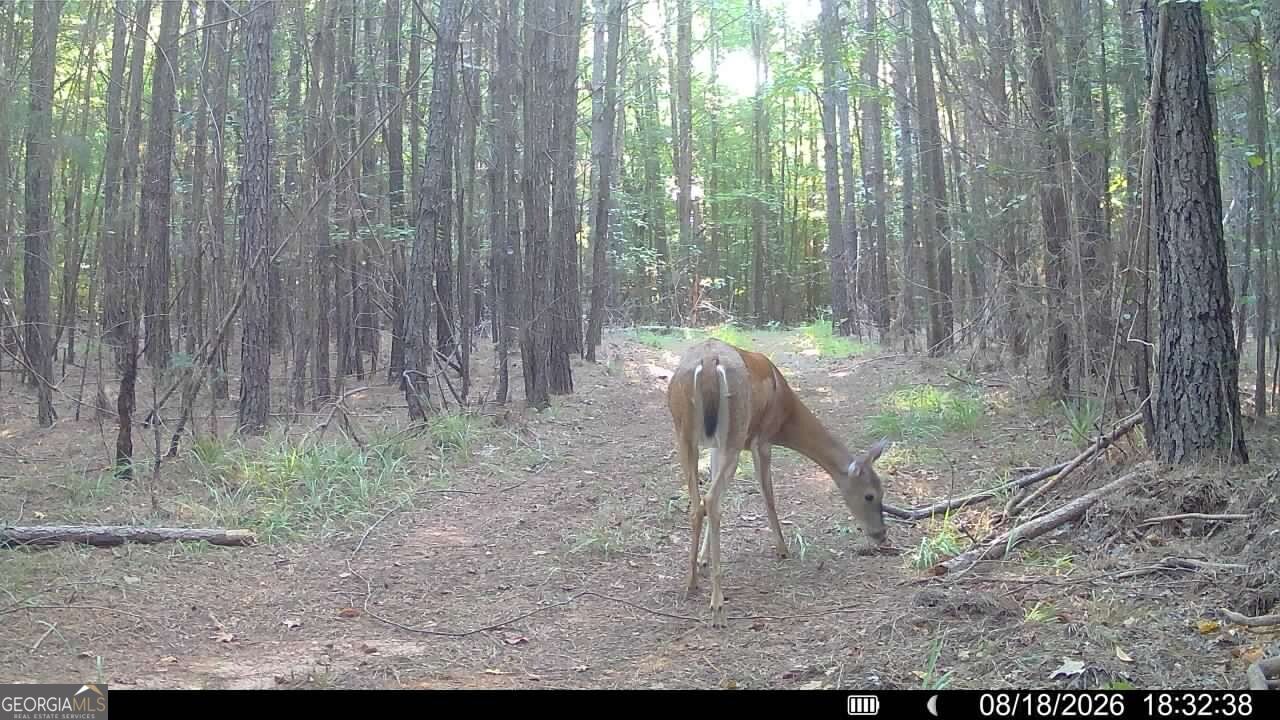 8 Bunch Road Tignall GA 30668