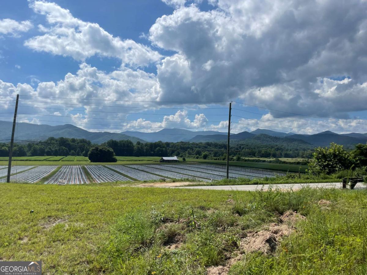 0 Mountain Ridge Drive Rabun Gap GA 30568