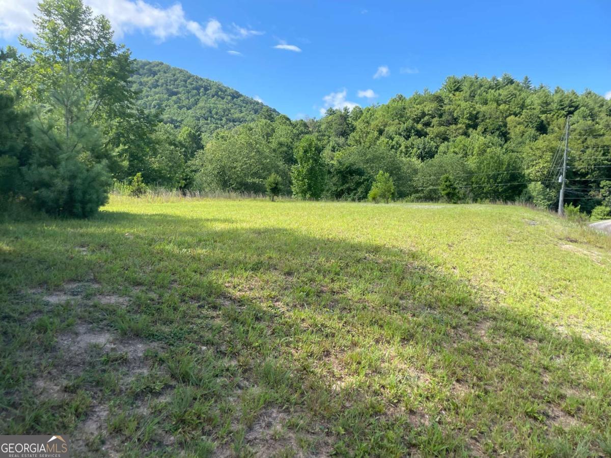 0 Mountain Ridge Drive Rabun Gap GA 30568