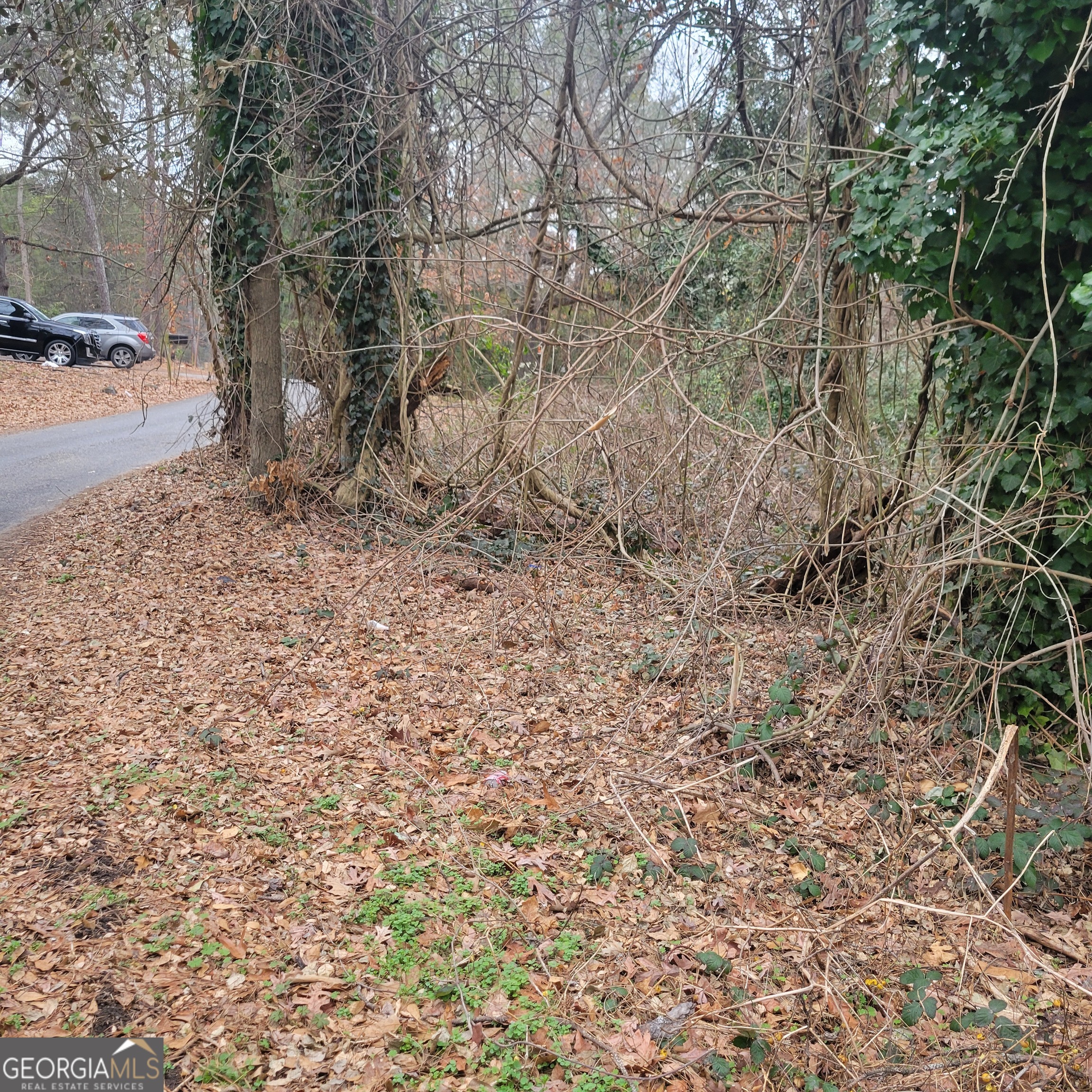 4682 Pine Circle Ellenwood GA 30294