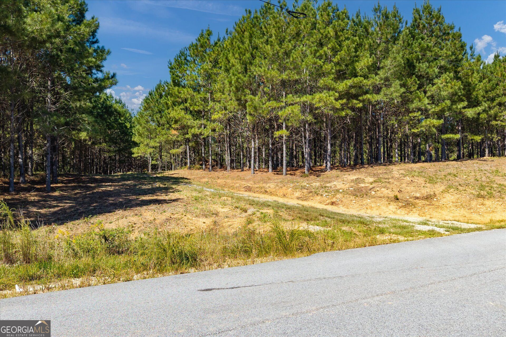 0 Steadman Lane Tallapoosa GA 30176