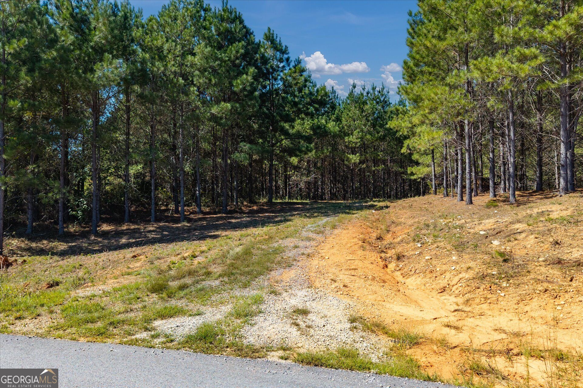 0 Steadman Lane Tallapoosa GA 30176