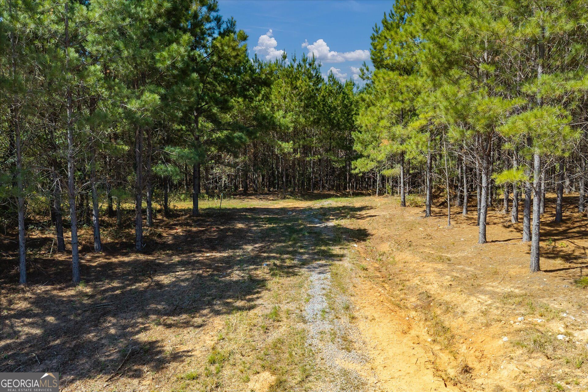 0 Steadman Lane Tallapoosa GA 30176