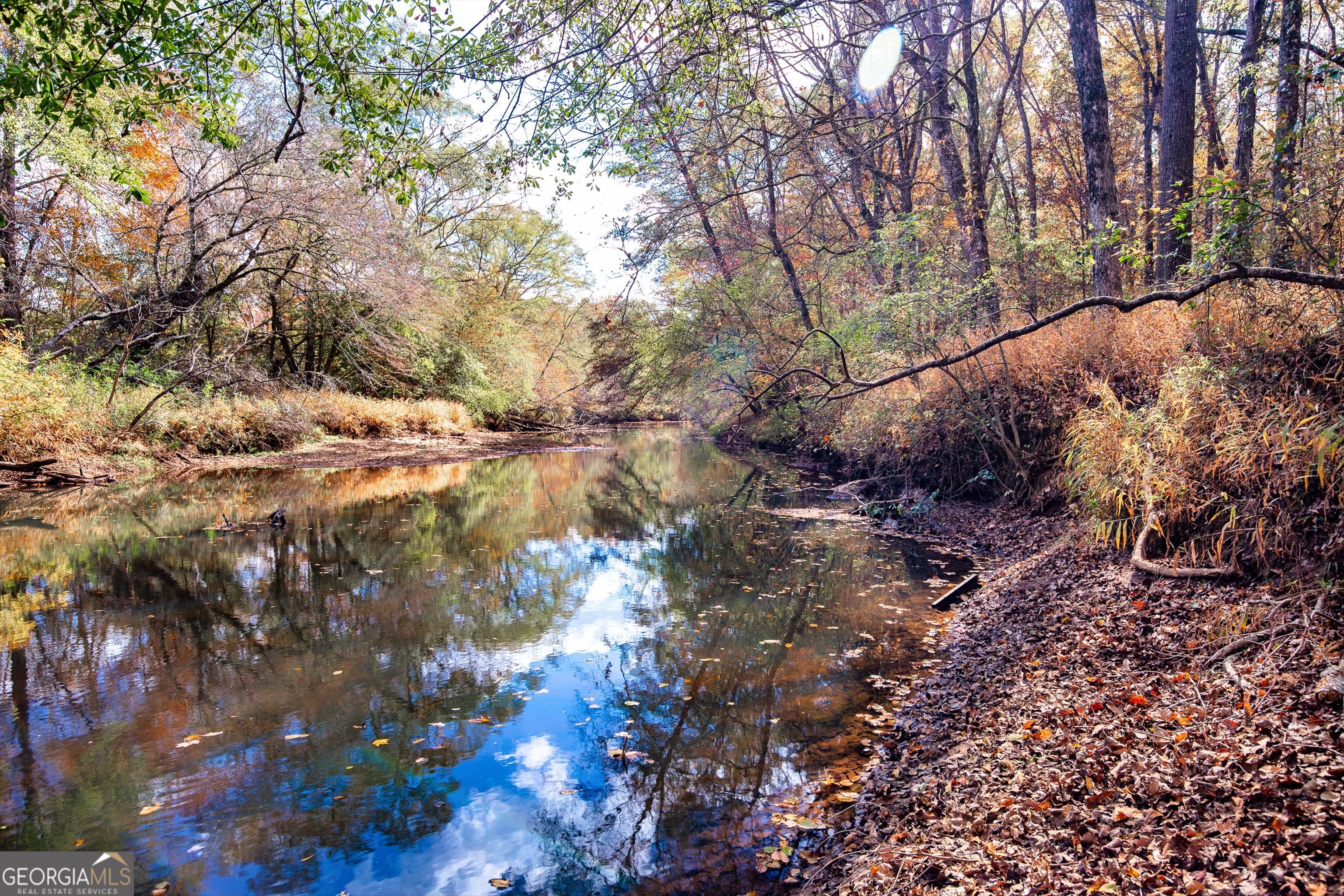 0 Morgan Mill Road Senoia GA 30276