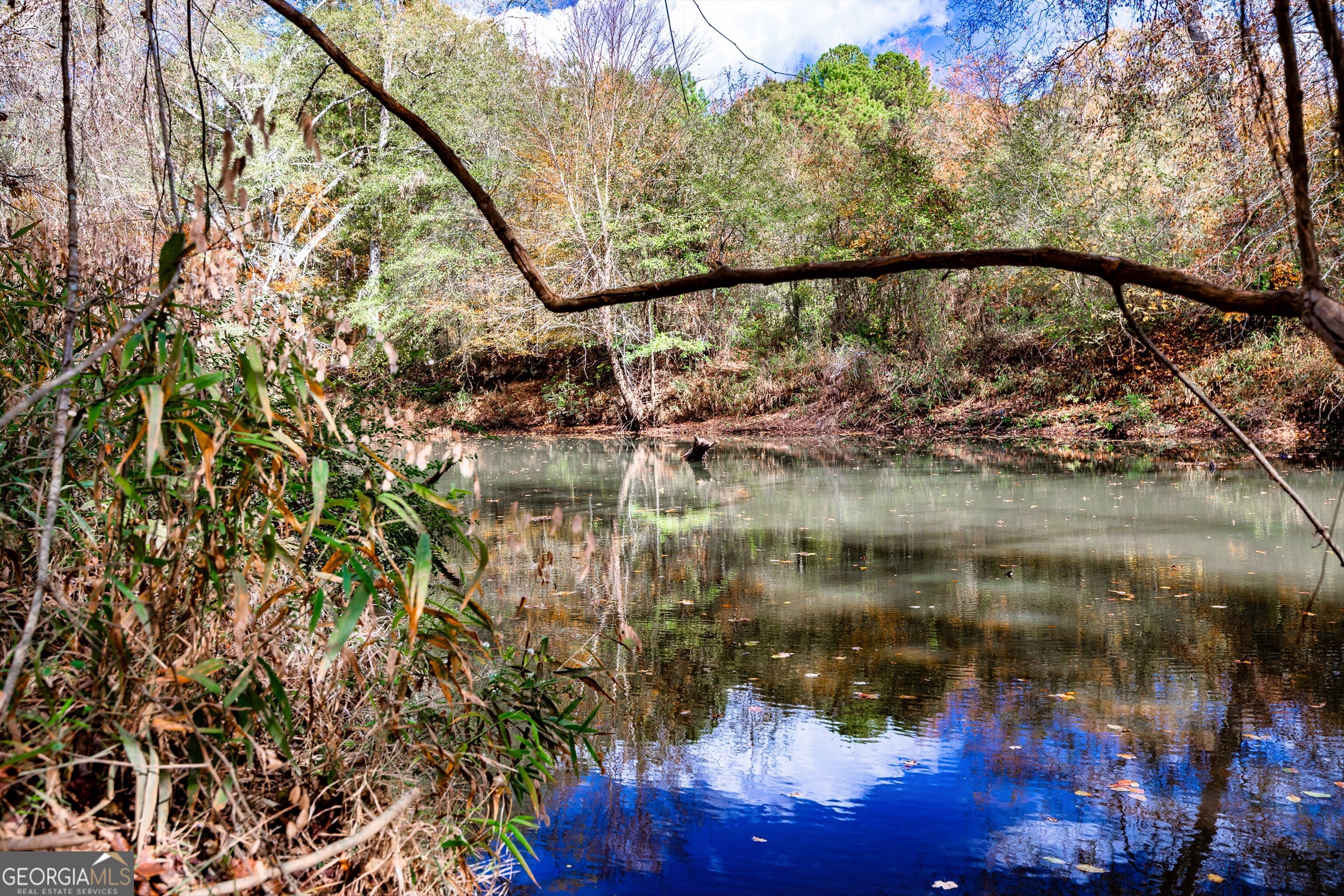 0 Morgan Mill Road Senoia GA 30276