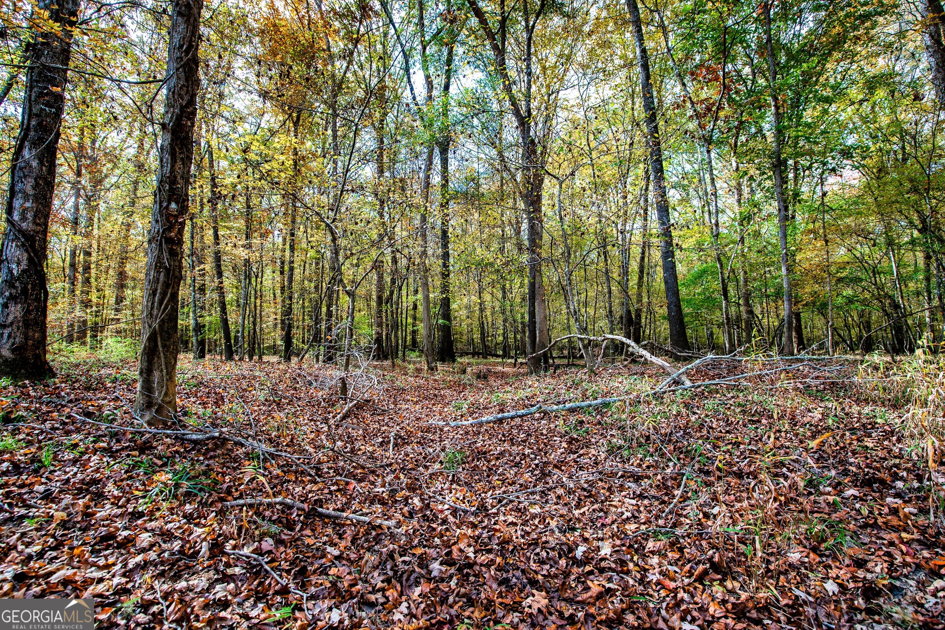 0 Morgan Mill Road Senoia GA 30276