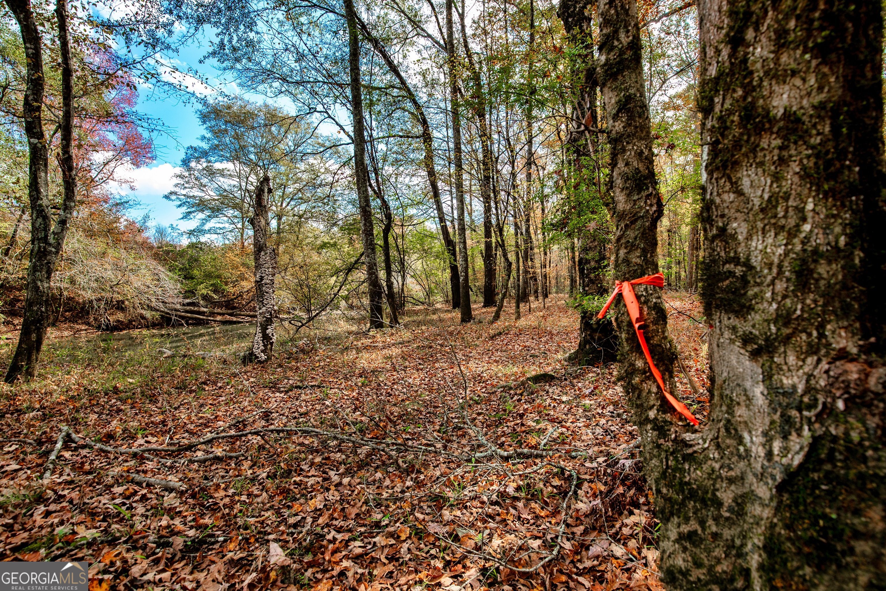 0 Morgan Mill Road Senoia GA 30276