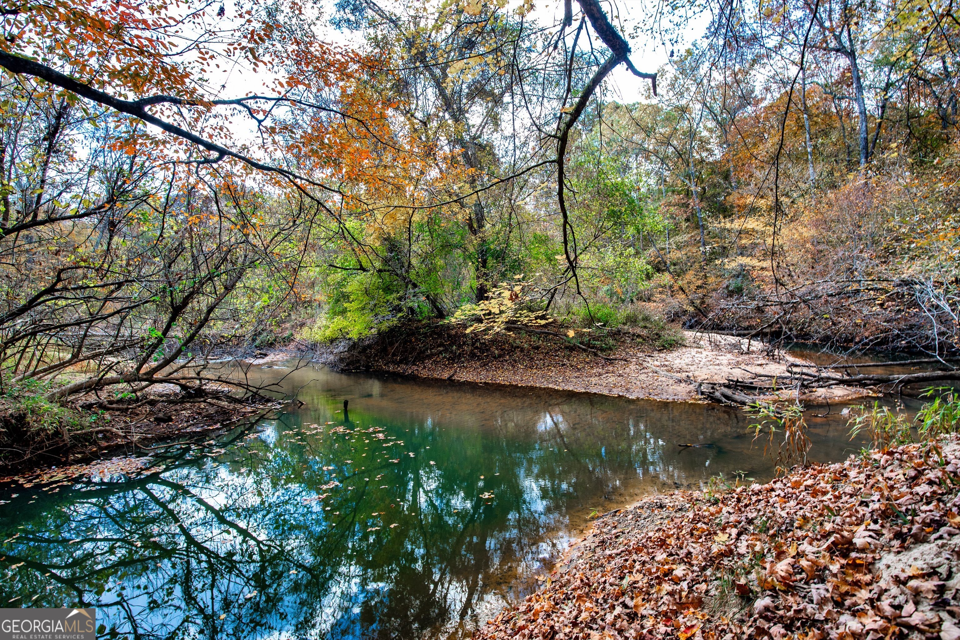 0 Morgan Mill Road Senoia GA 30276