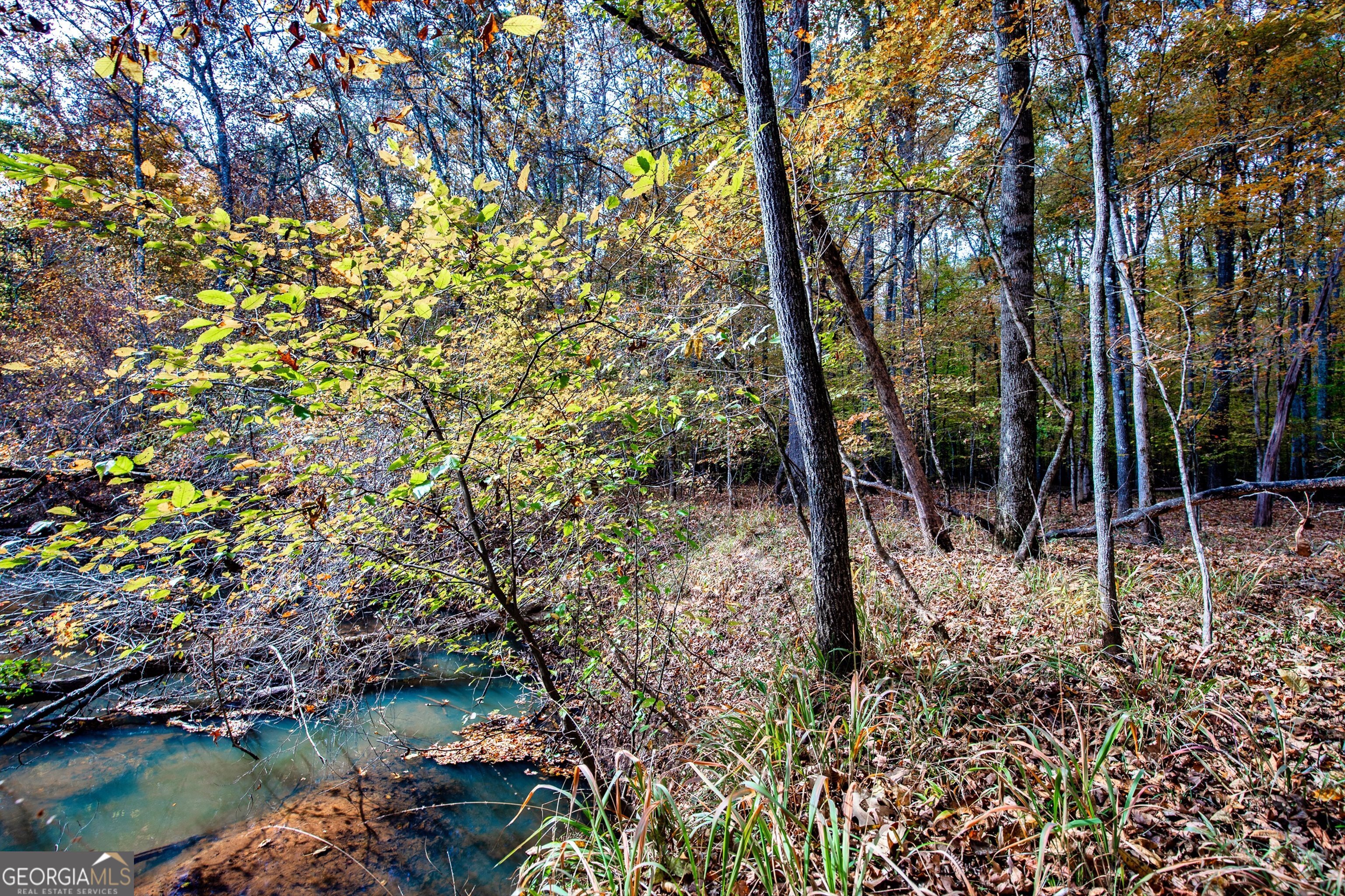 0 Morgan Mill Road Senoia GA 30276