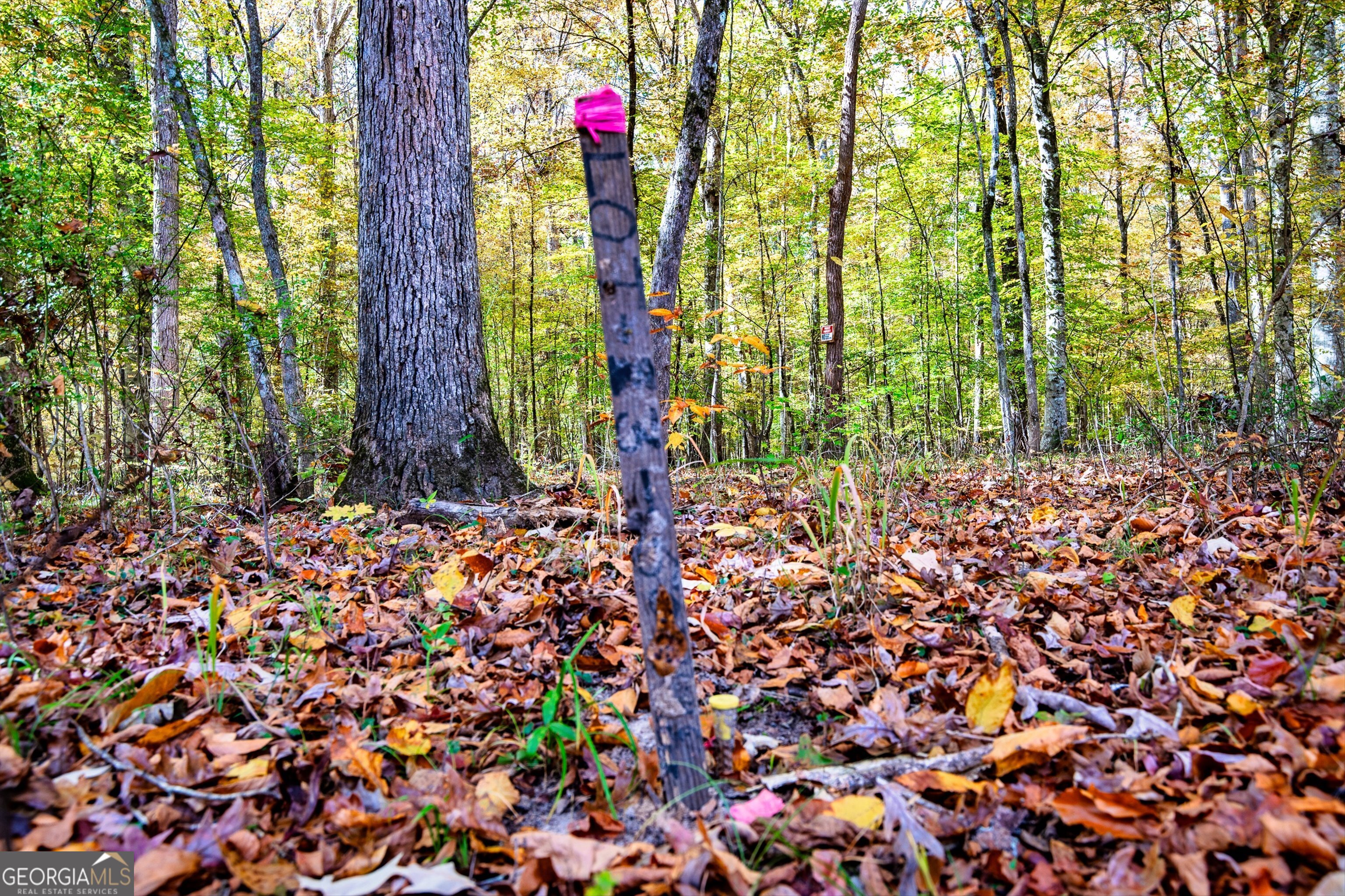 0 Morgan Mill Road Senoia GA 30276