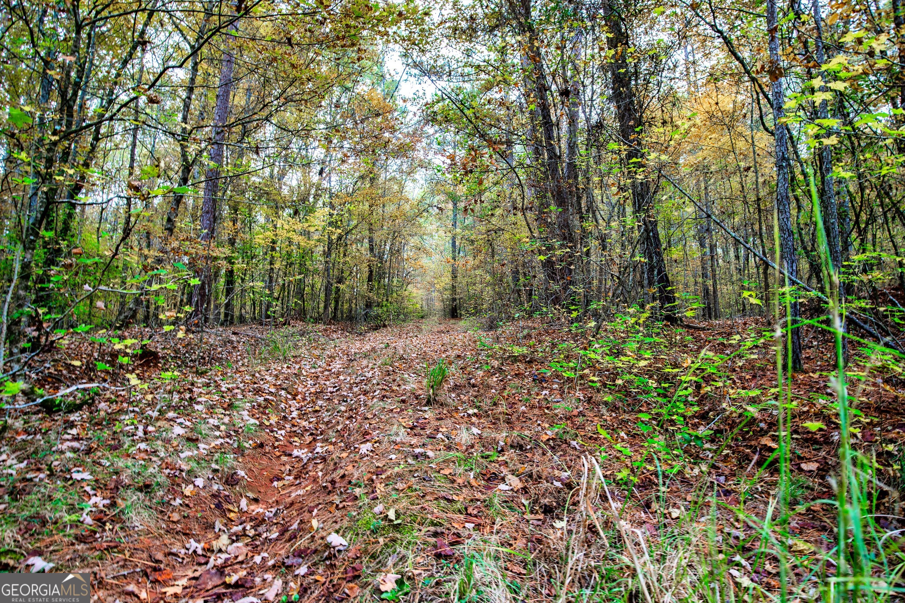 0 Morgan Mill Road Senoia GA 30276