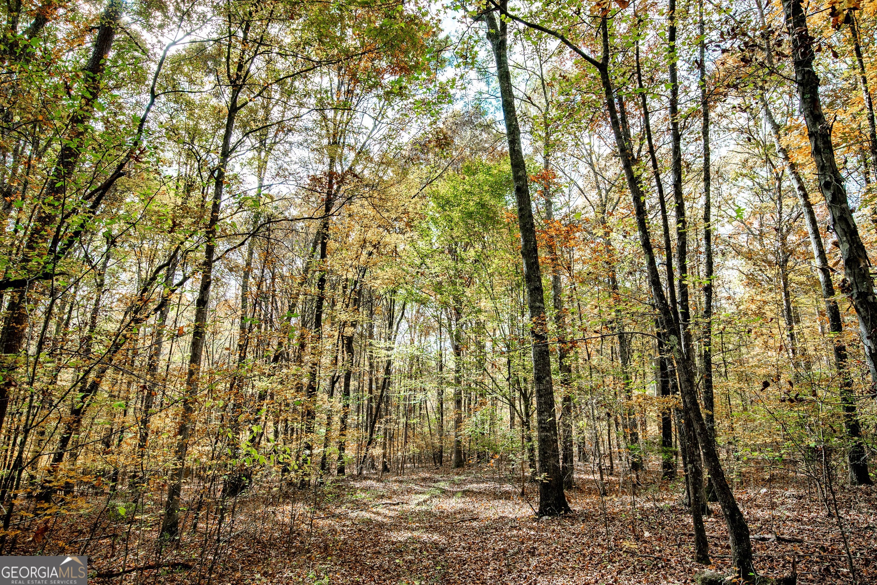 0 Morgan Mill Road Senoia GA 30276