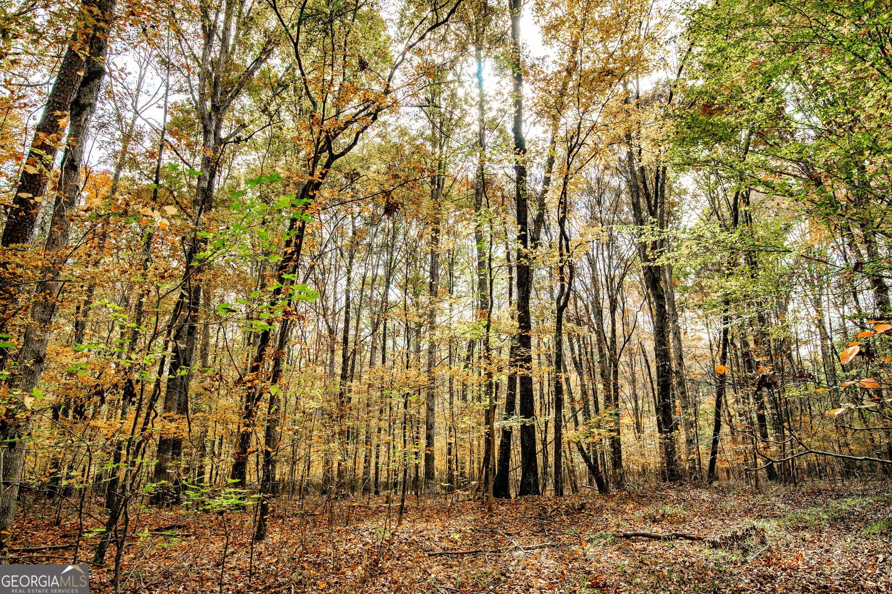 0 Morgan Mill Road Senoia GA 30276