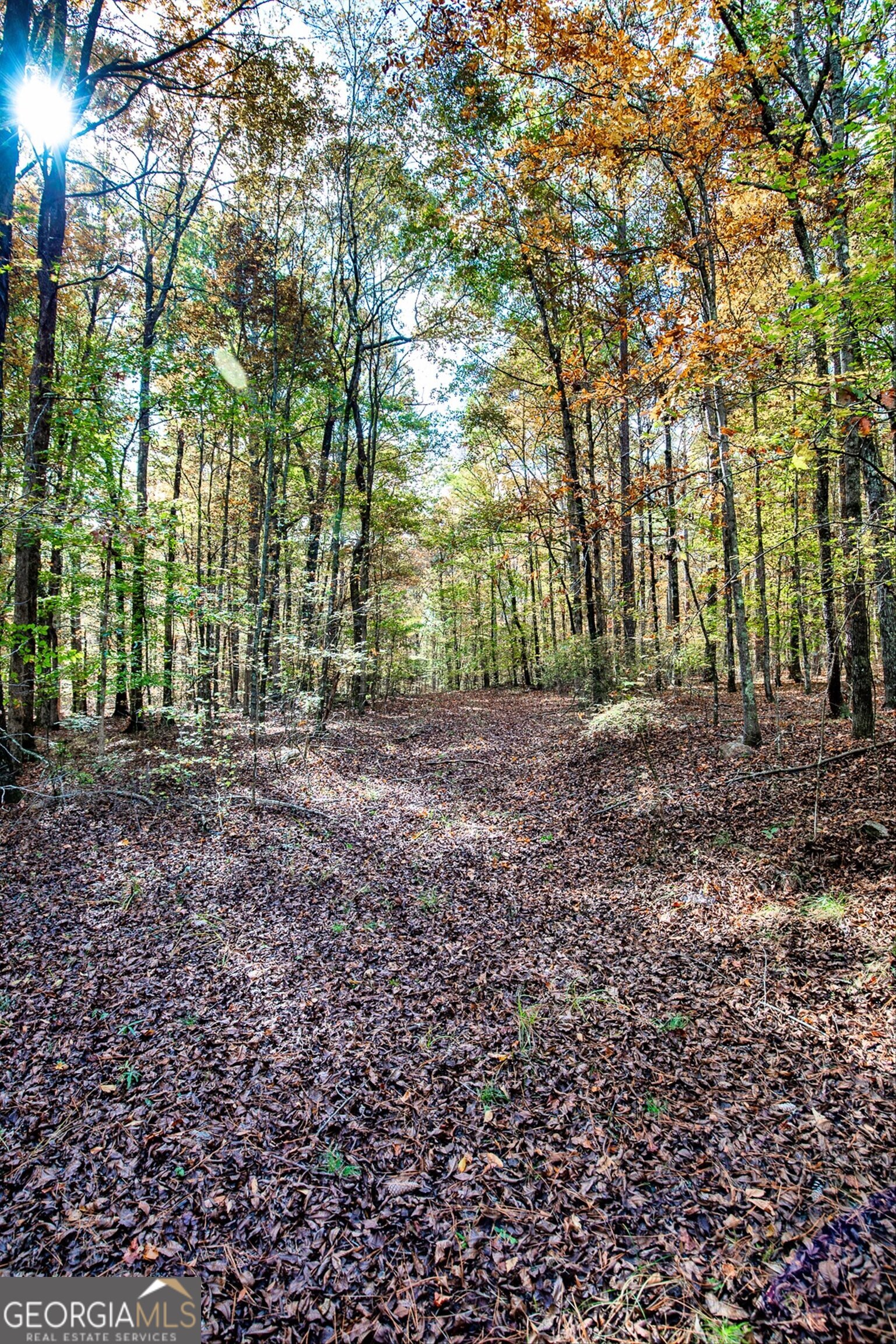 0 Morgan Mill Road Senoia GA 30276
