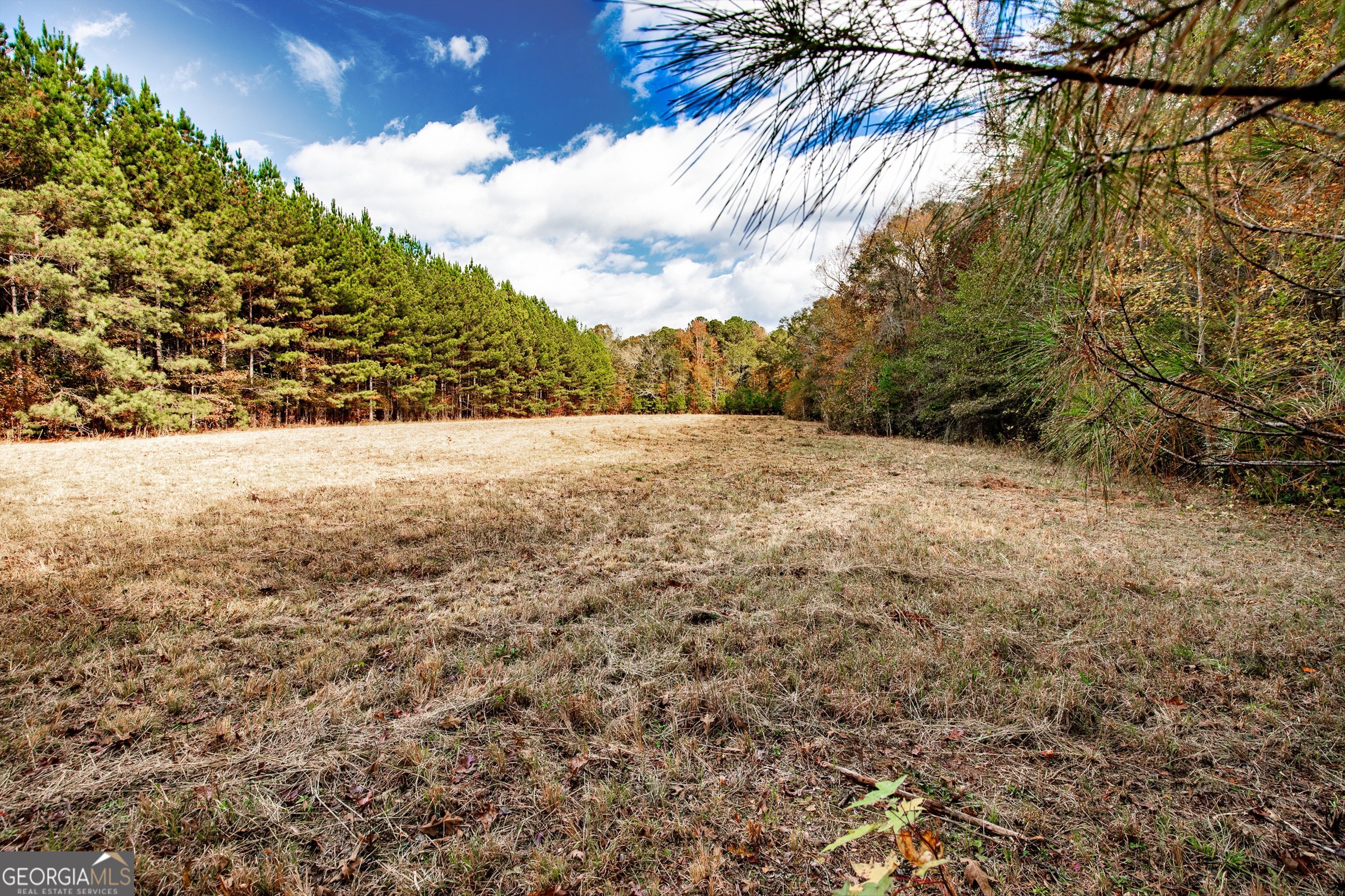 0 Morgan Mill Road Senoia GA 30276