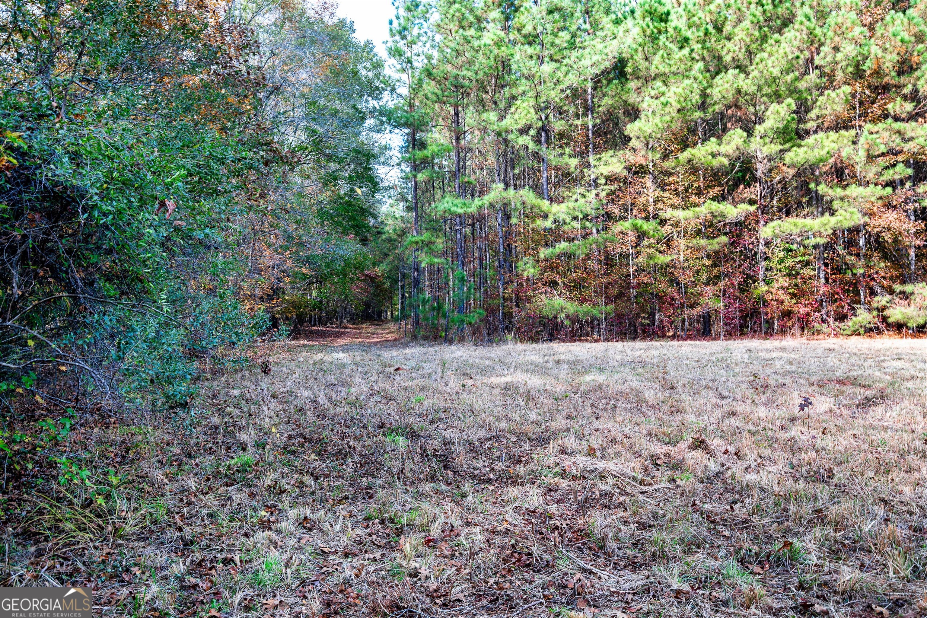 0 Morgan Mill Road Senoia GA 30276