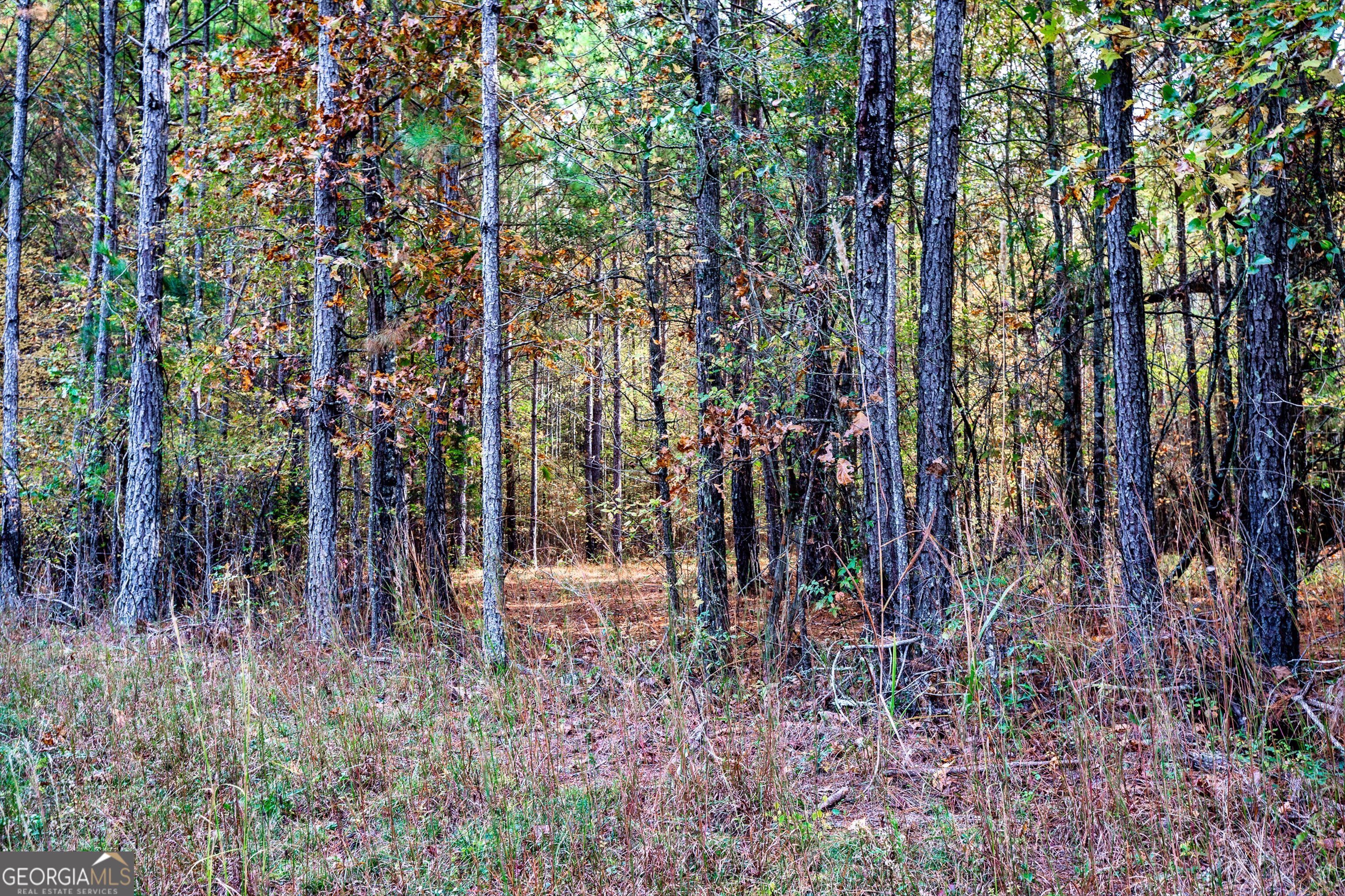 0 Morgan Mill Road Senoia GA 30276