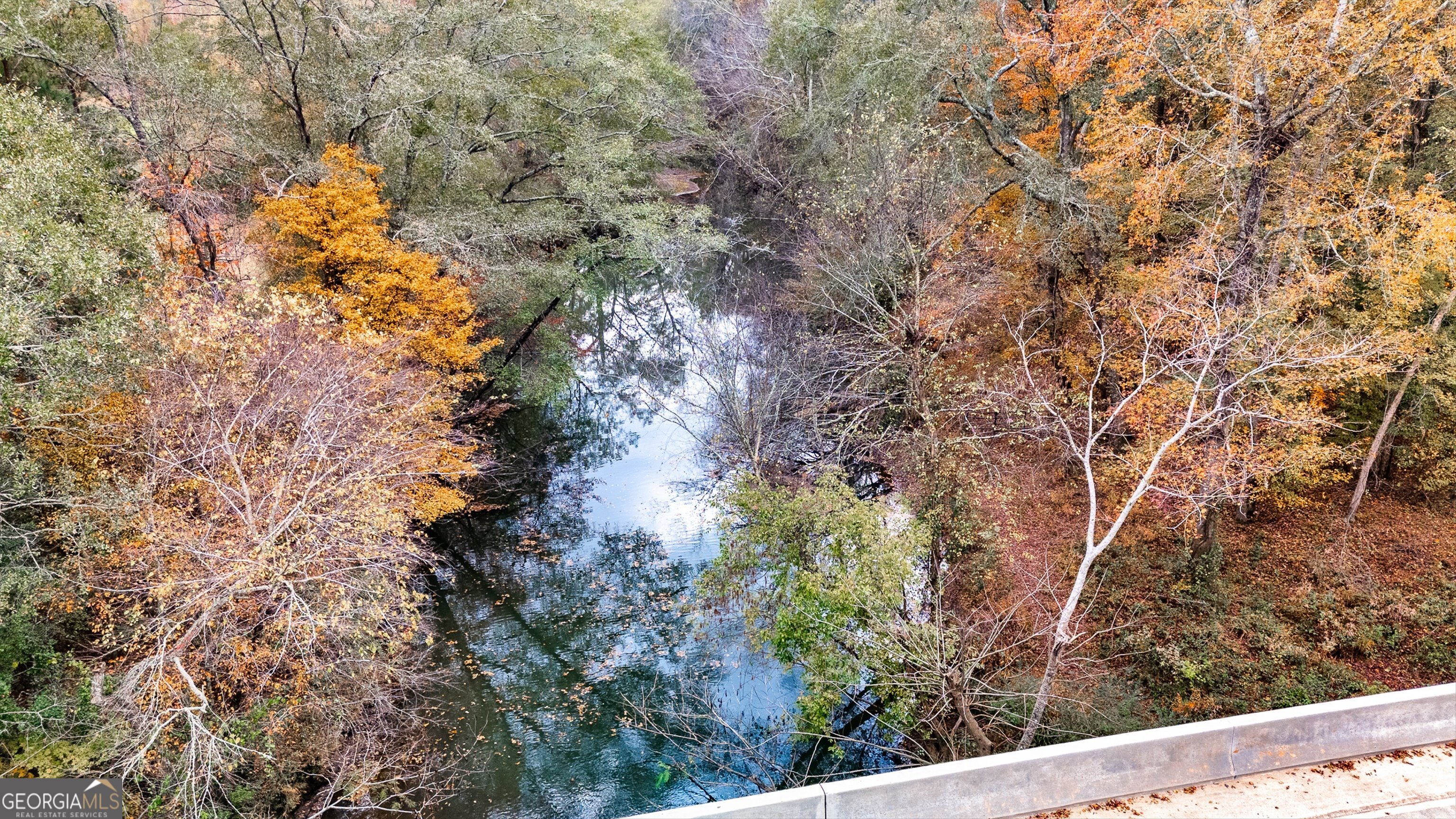 0 Morgan Mill Road Senoia GA 30276