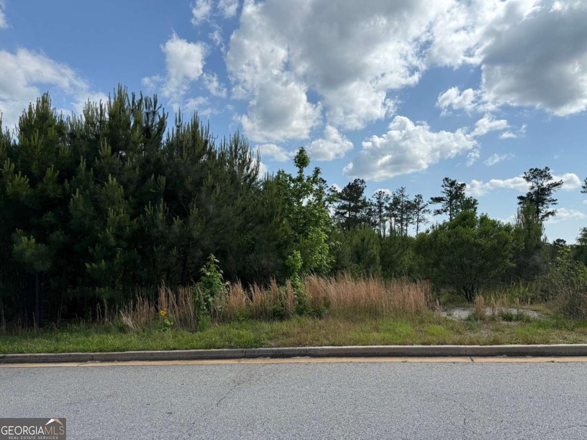 40 Arbor Springs Parkway Newnan GA 30265